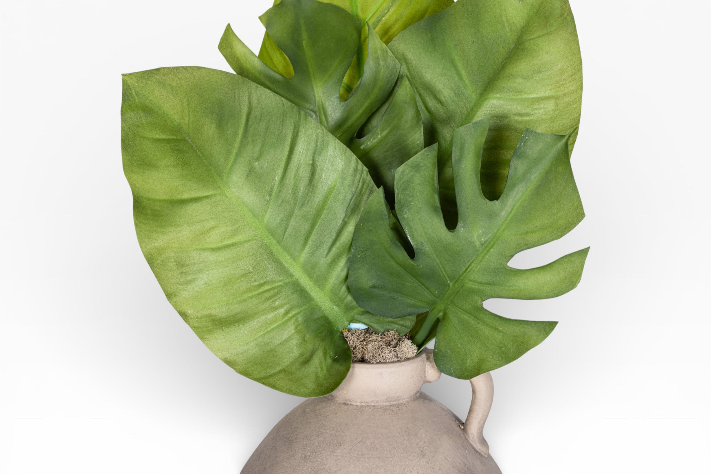 Small Sierra Jug with Palm Arrangement AR1500