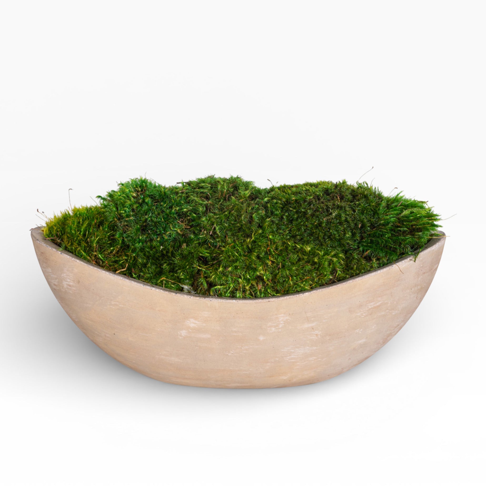 Sage Bowl with Mood Moss Arrangement AR1505