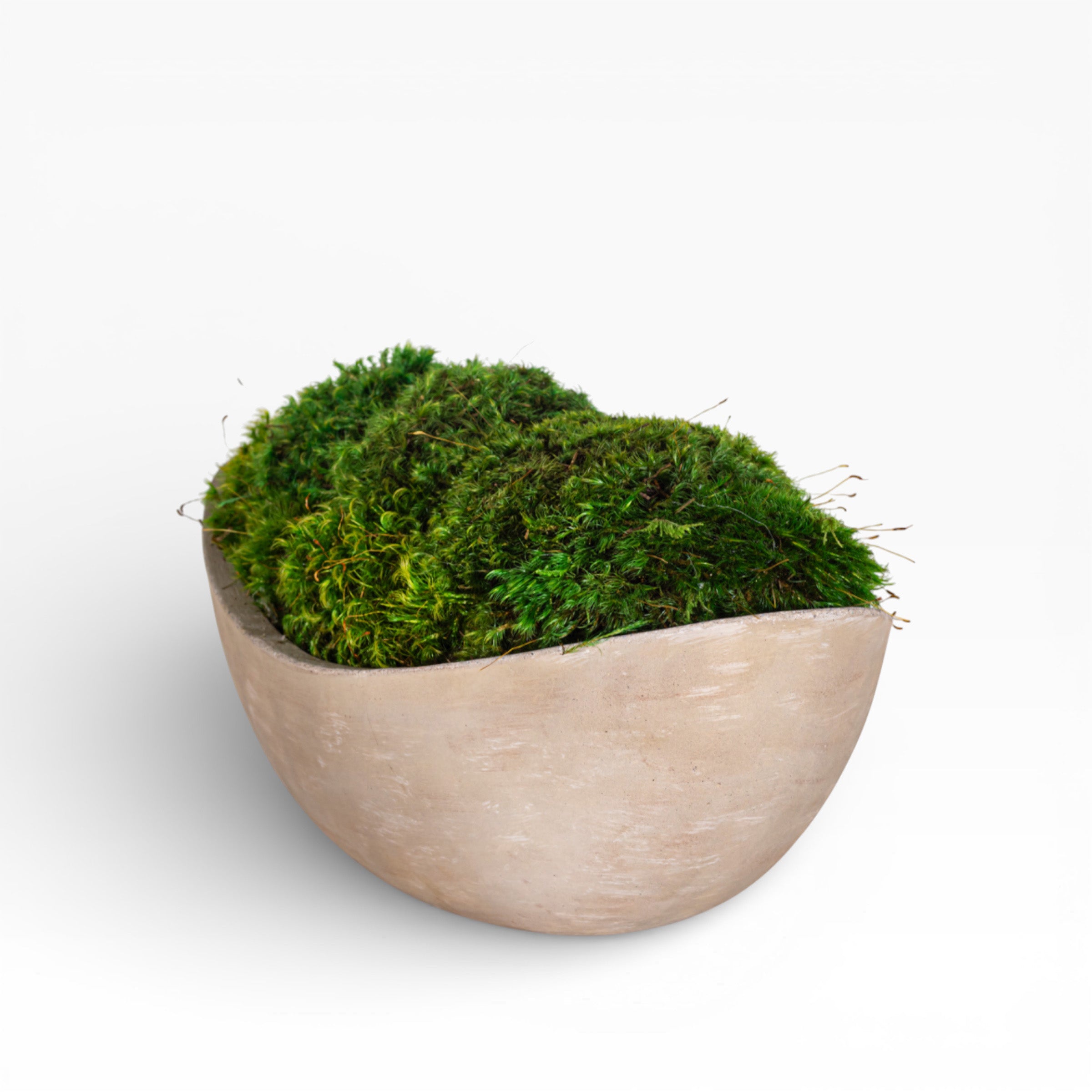 Sage Bowl with Mood Moss Arrangement AR1505