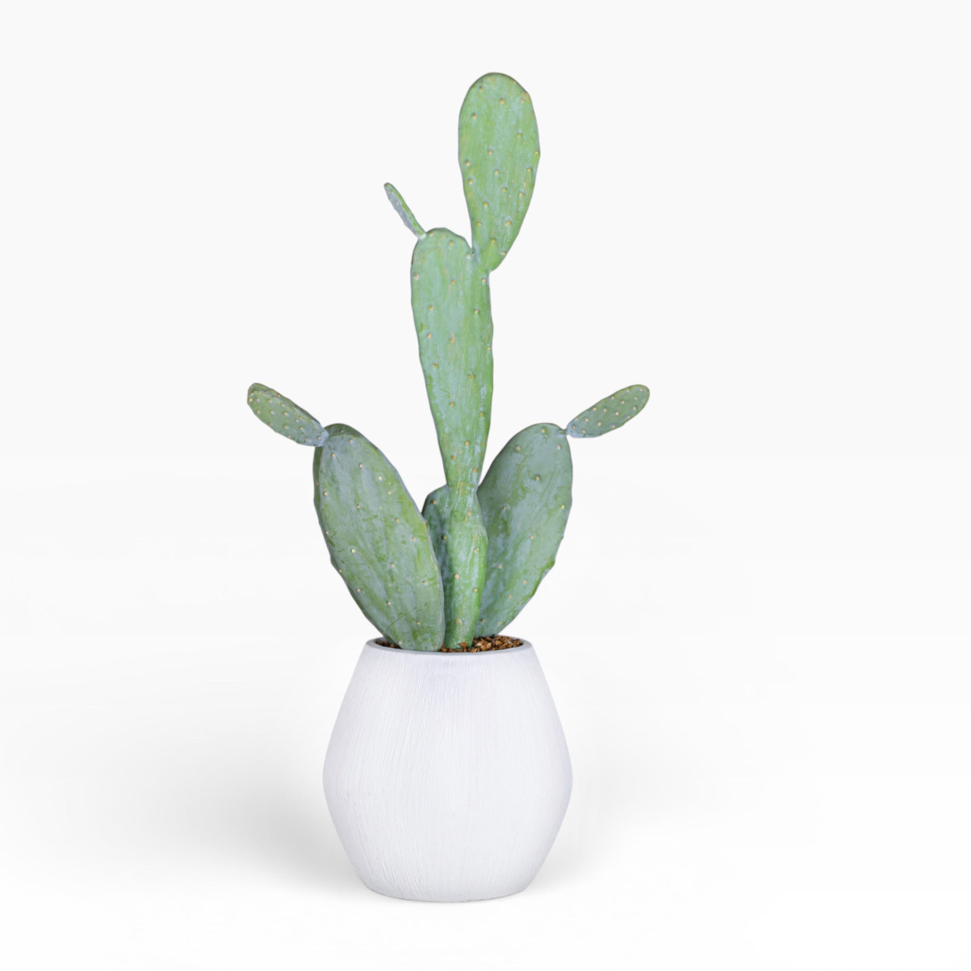 10" Ava Pot with Cactus Arrangement AR1510