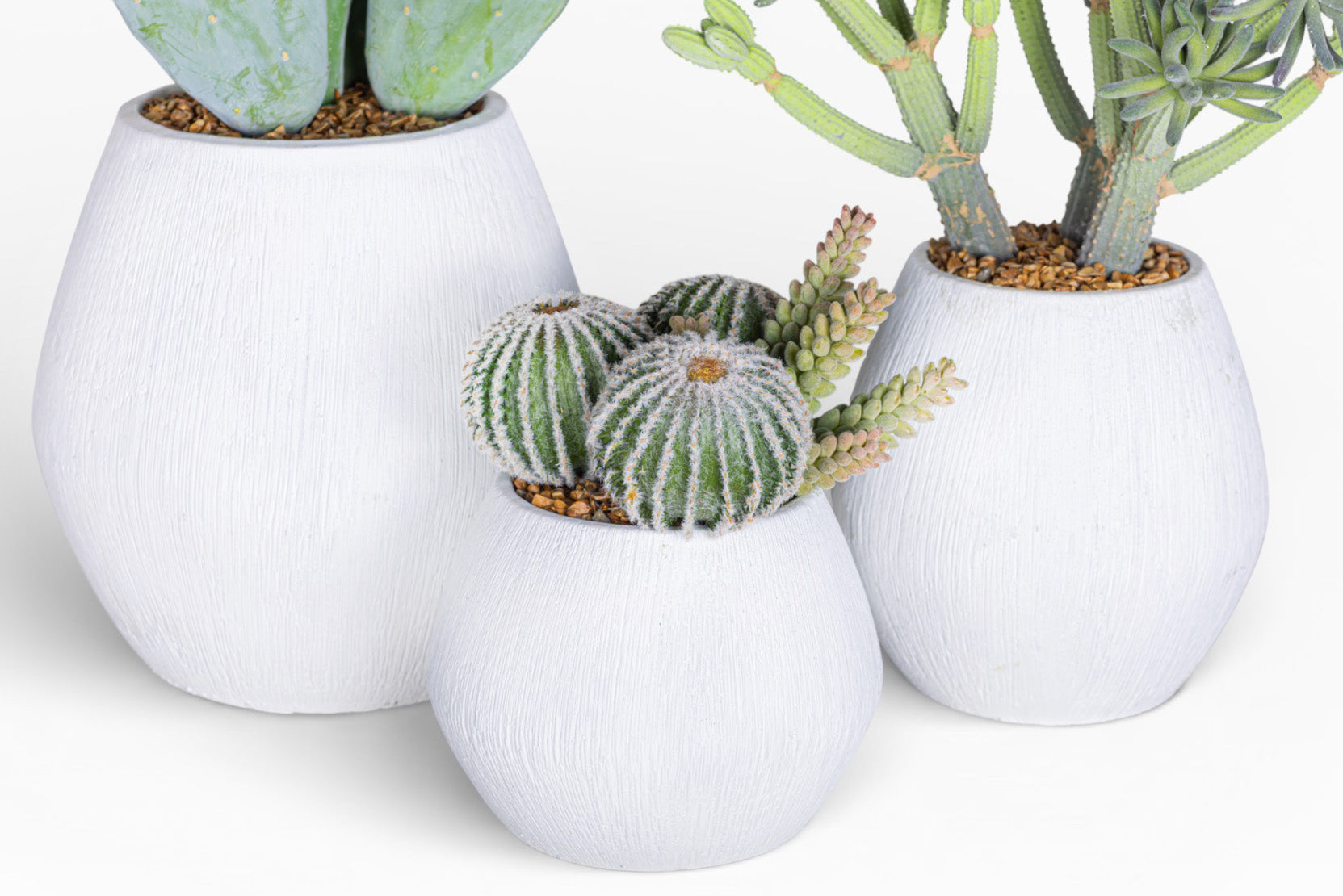 6" Ava Pot with Cactus Arrangement AR1508