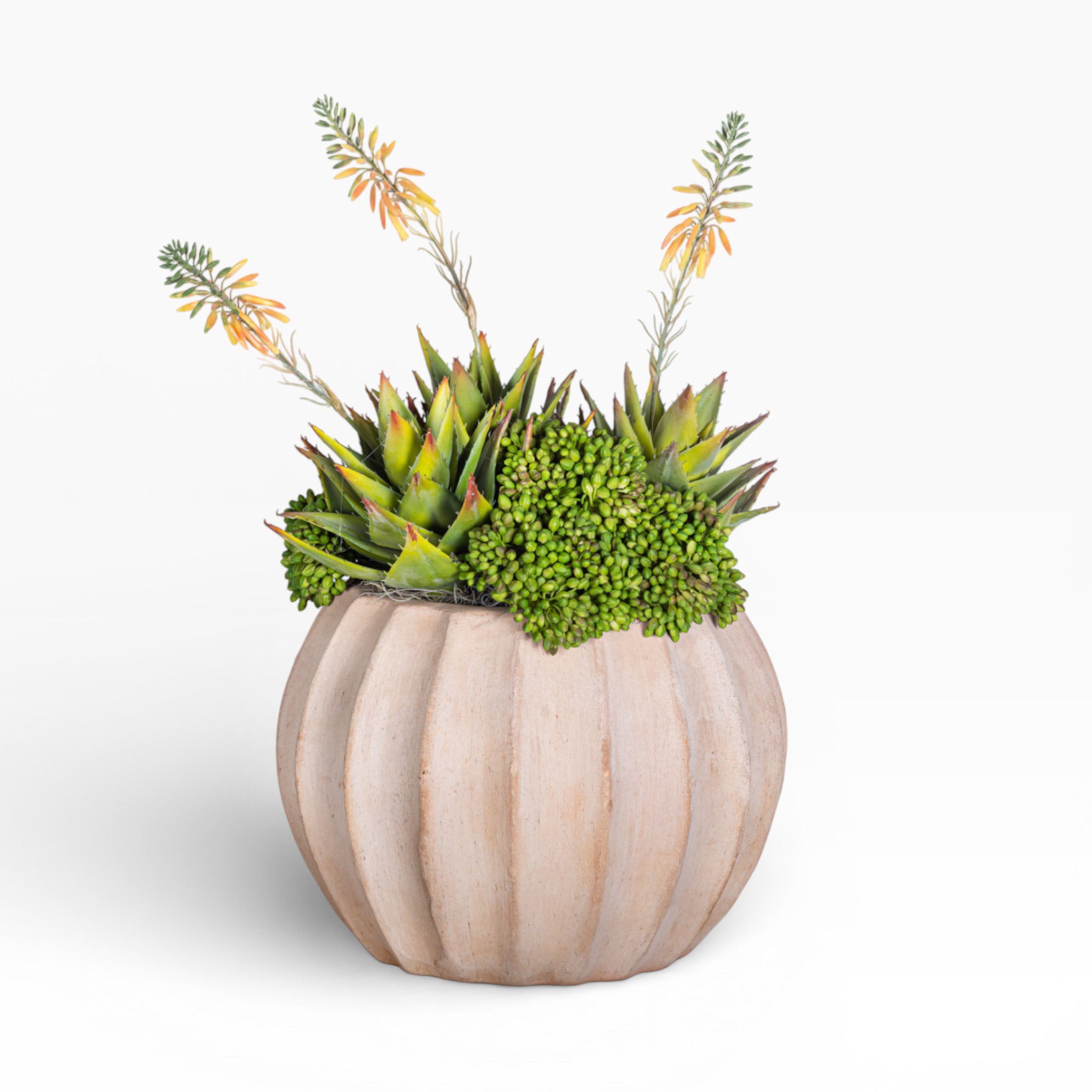 13" Sienna Pot with Mixed Succulent Arrangement AR1484
