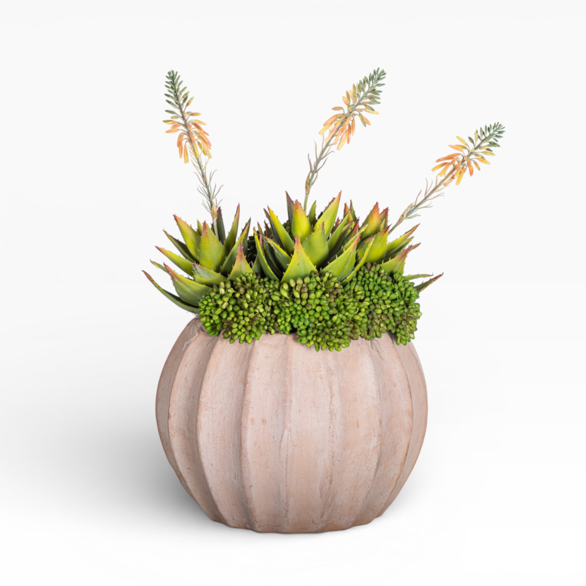 13" Sienna Pot with Mixed Succulent Arrangement AR1484