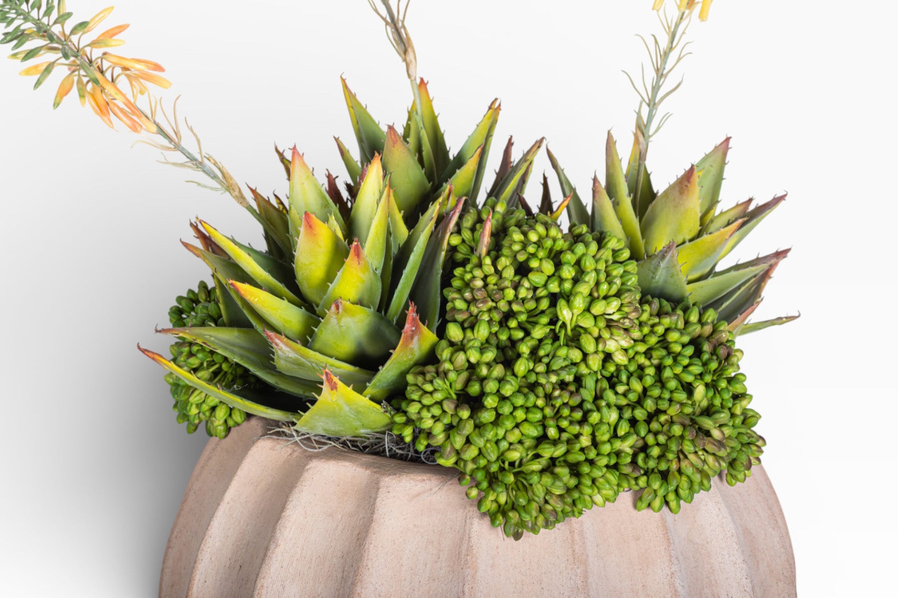 13" Sienna Pot with Mixed Succulent Arrangement AR1484