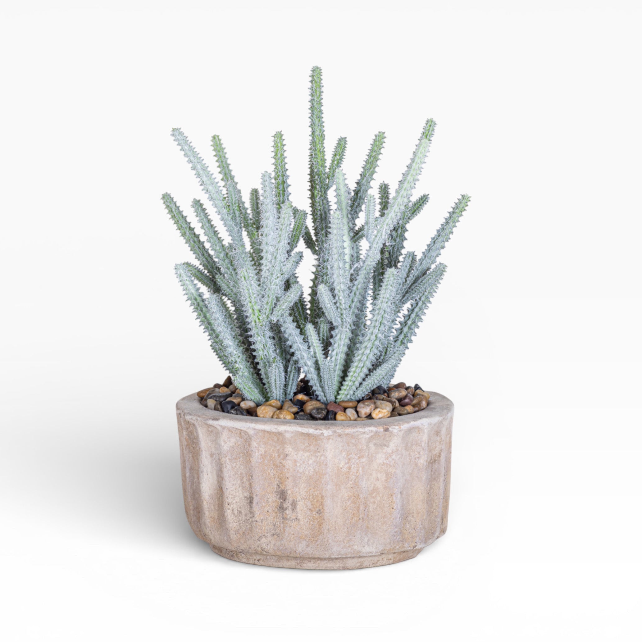 8" Verona Pot with Cactus Arrangement AR1488