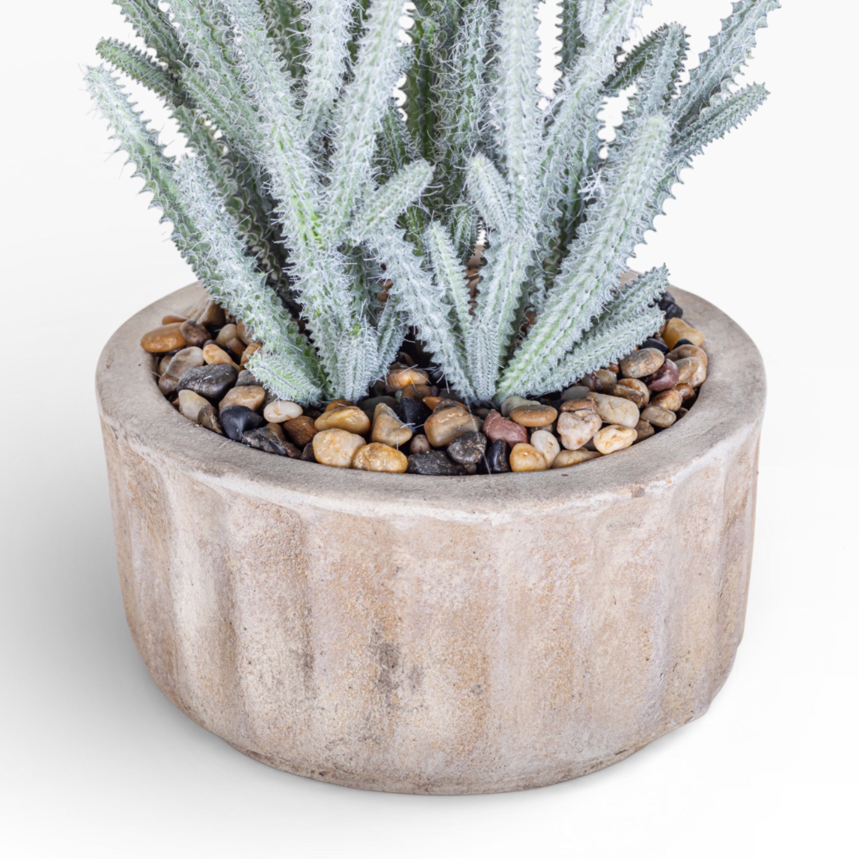 8" Verona Pot with Cactus Arrangement AR1488
