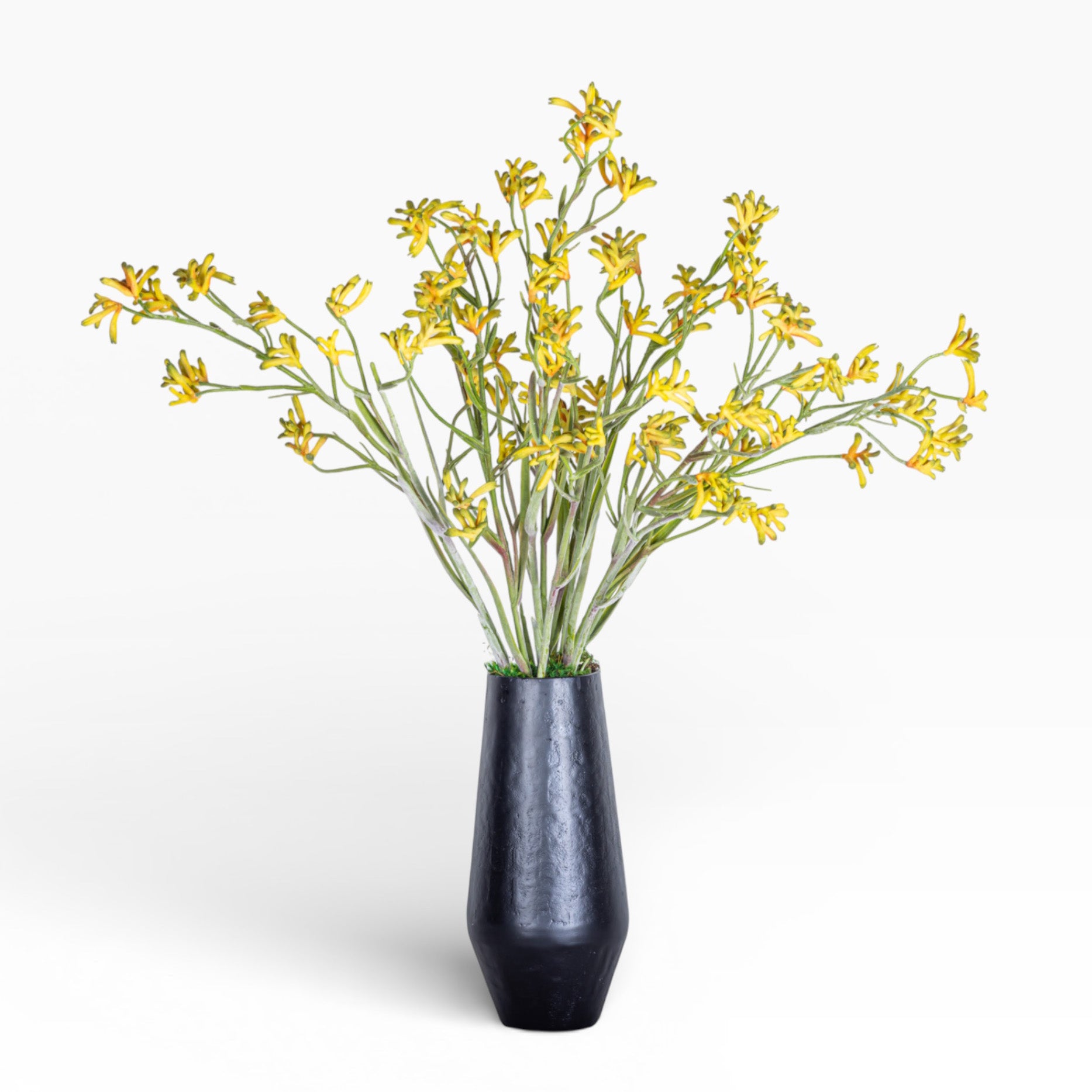 13" Aubrey Vase with Kangaroo Paw Arrangement AR1492
