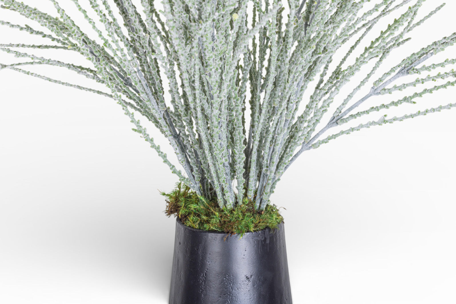 8" Aubrey with Lovers Tears Arrangement AR1483