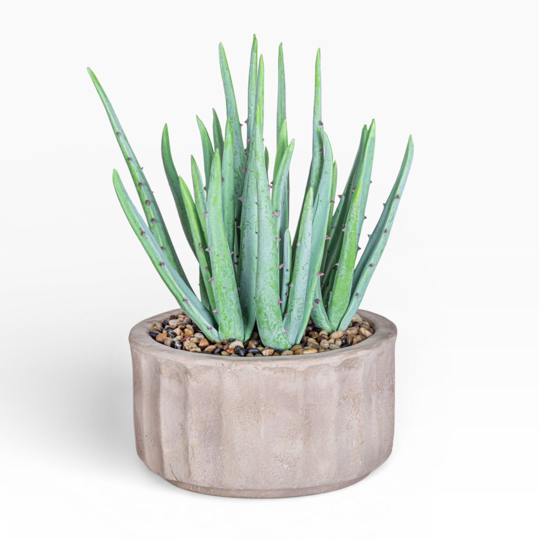 11" Verona Pot with Cactus Arrangement AR1477