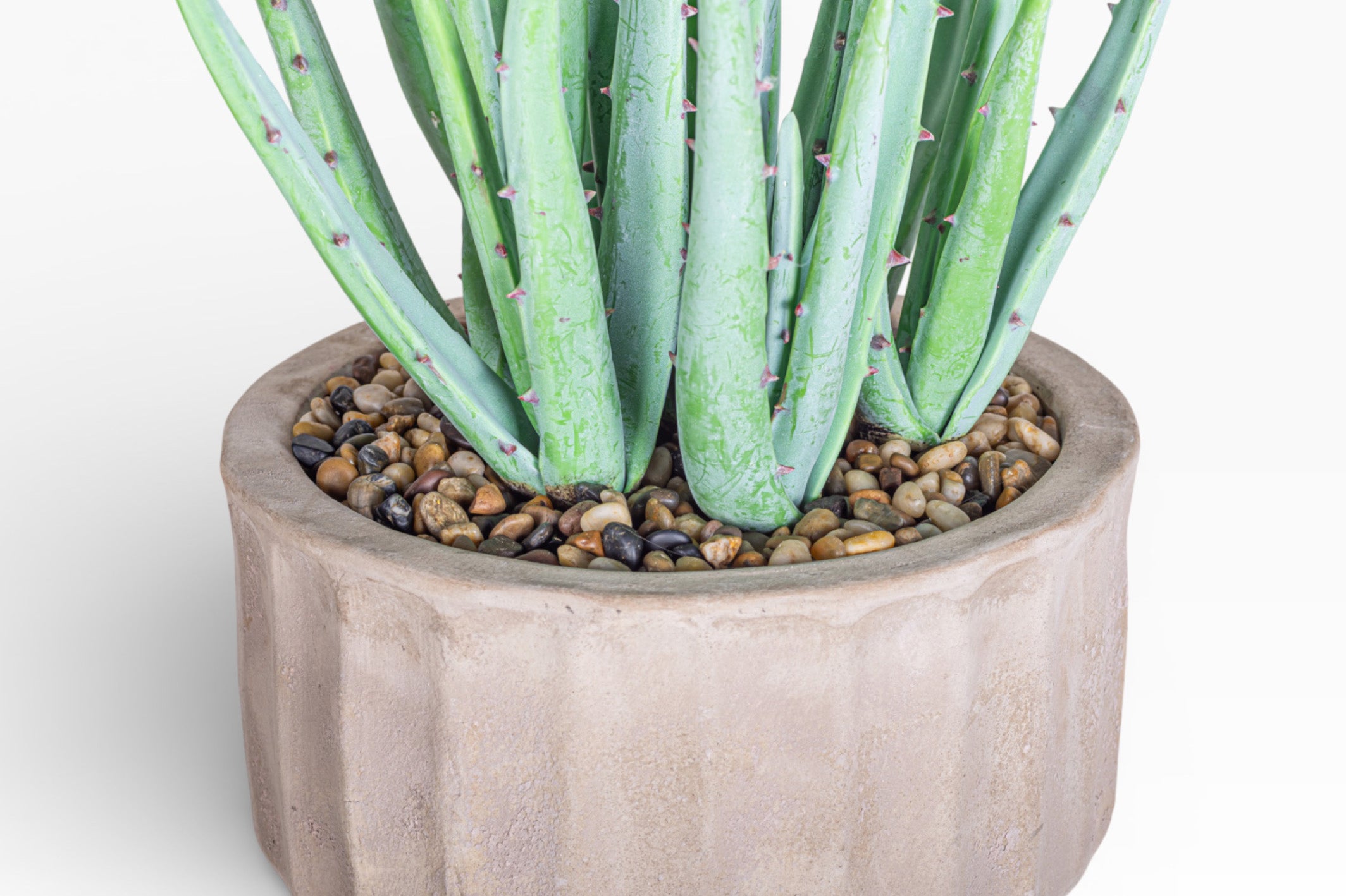 11" Verona Pot with Cactus Arrangement AR1477
