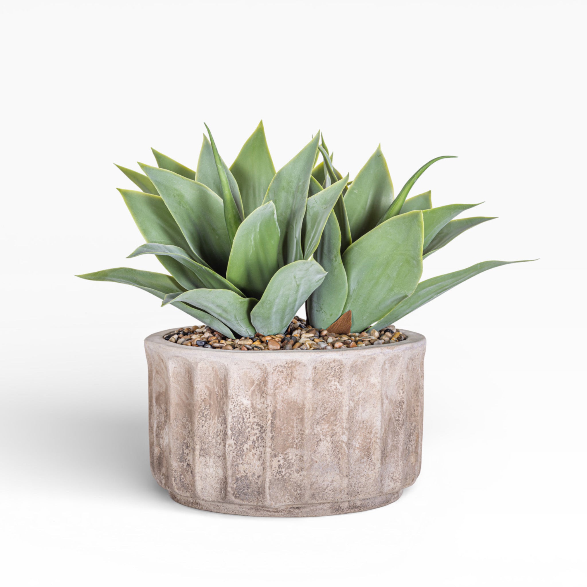15" Verona Pot with Agave Arrangement AR1473