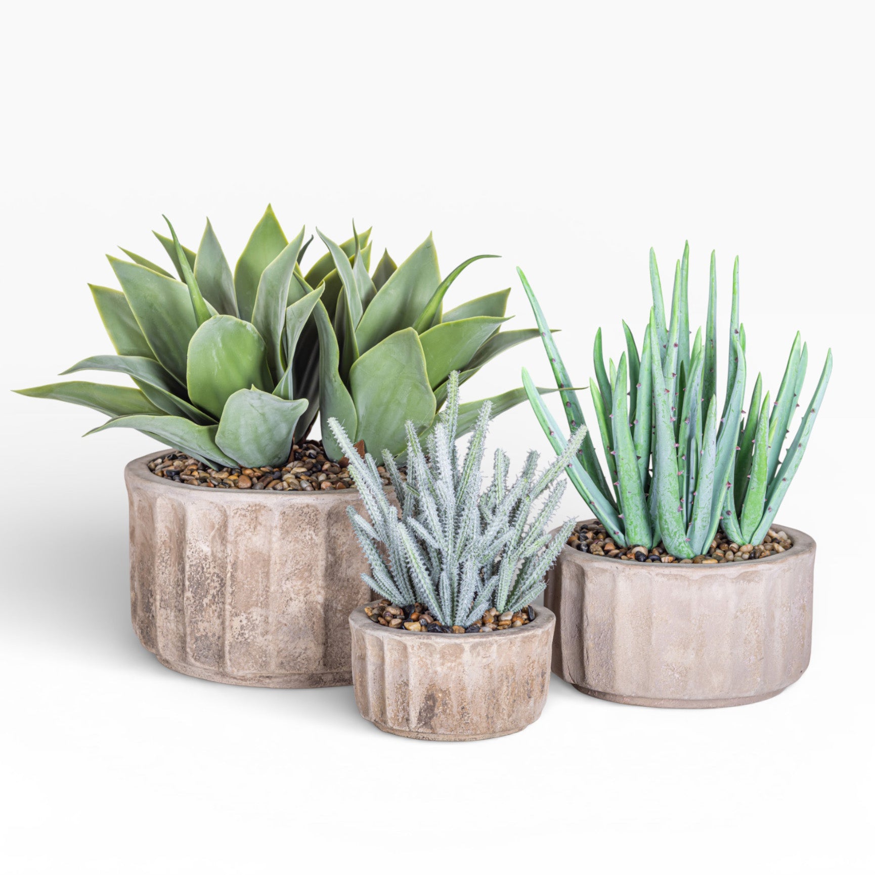 11" Verona Pot with Cactus Arrangement AR1477