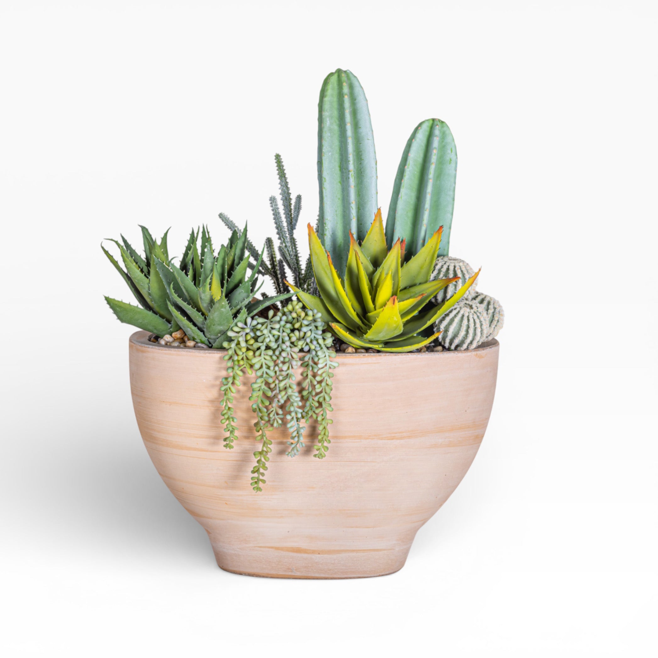 17" Maeve Bowl with Mixed Cactus Arrangement AR1472