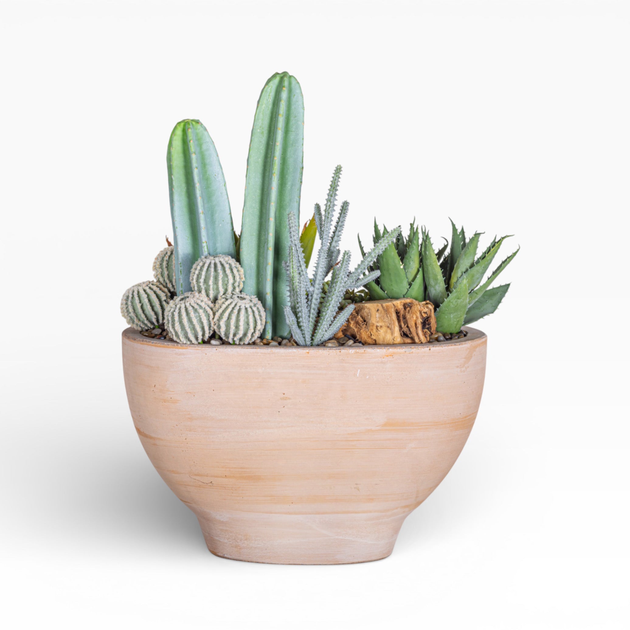 17" Maeve Bowl with Mixed Cactus Arrangement AR1472