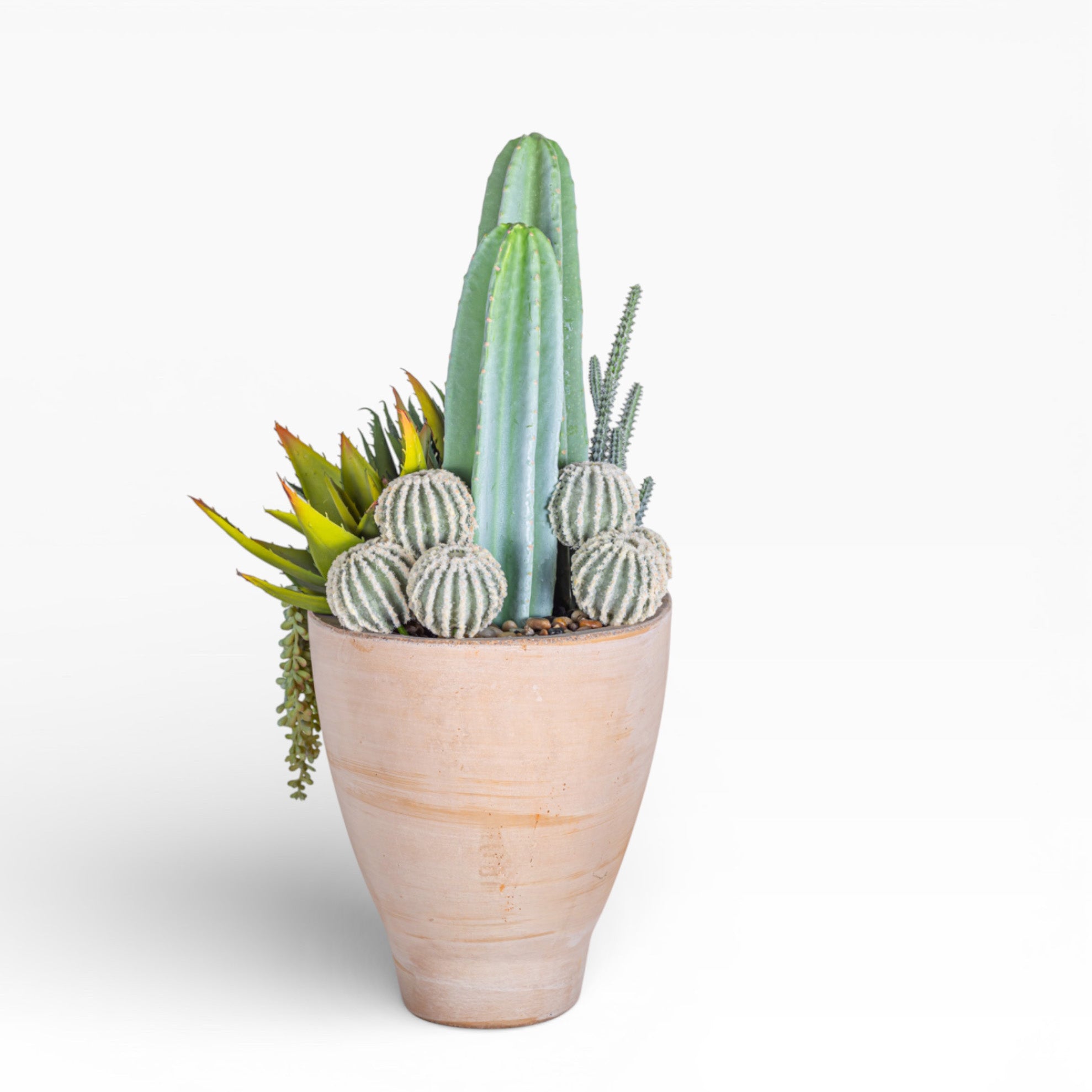 17" Maeve Bowl with Mixed Cactus Arrangement AR1472