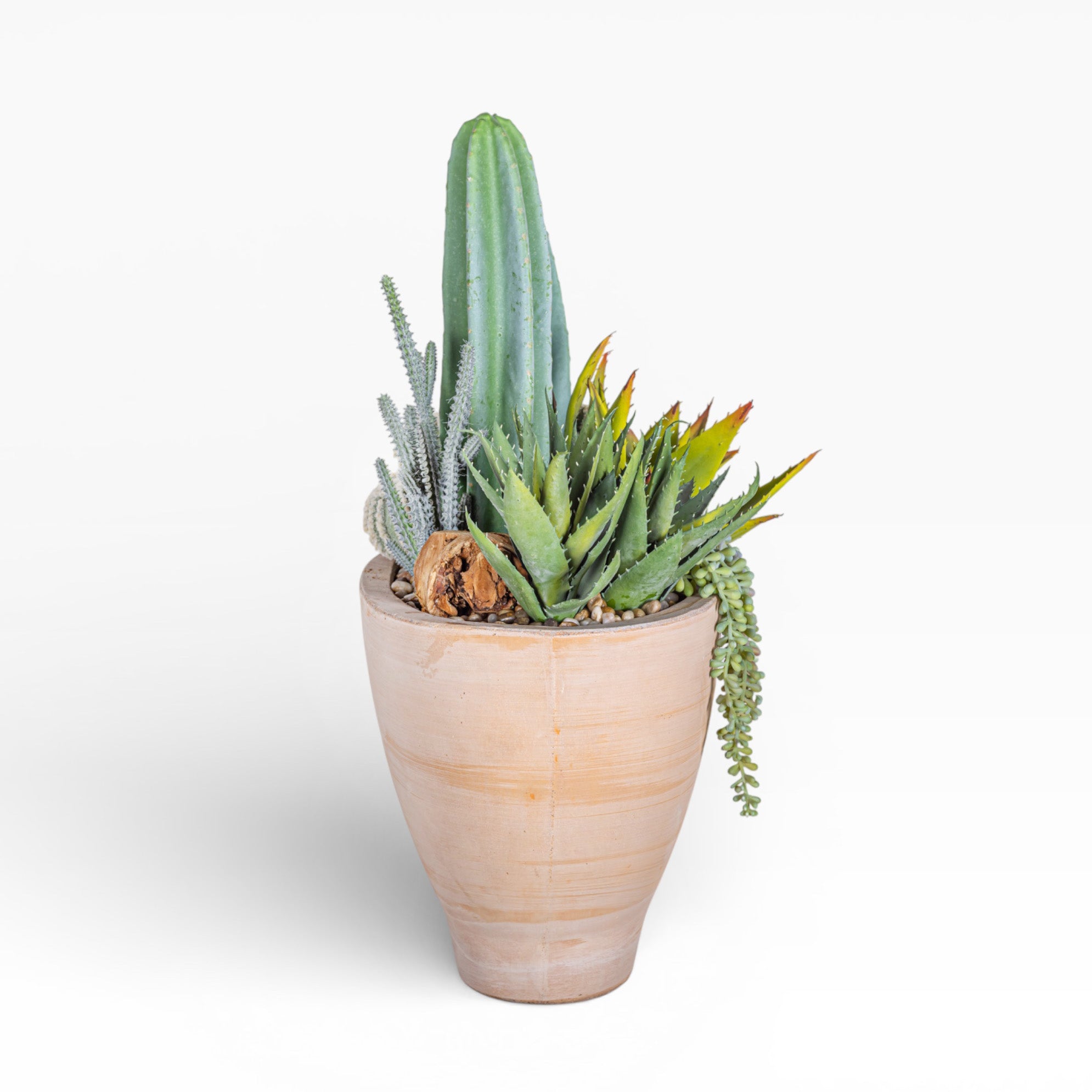 17" Maeve Bowl with Mixed Cactus Arrangement AR1472