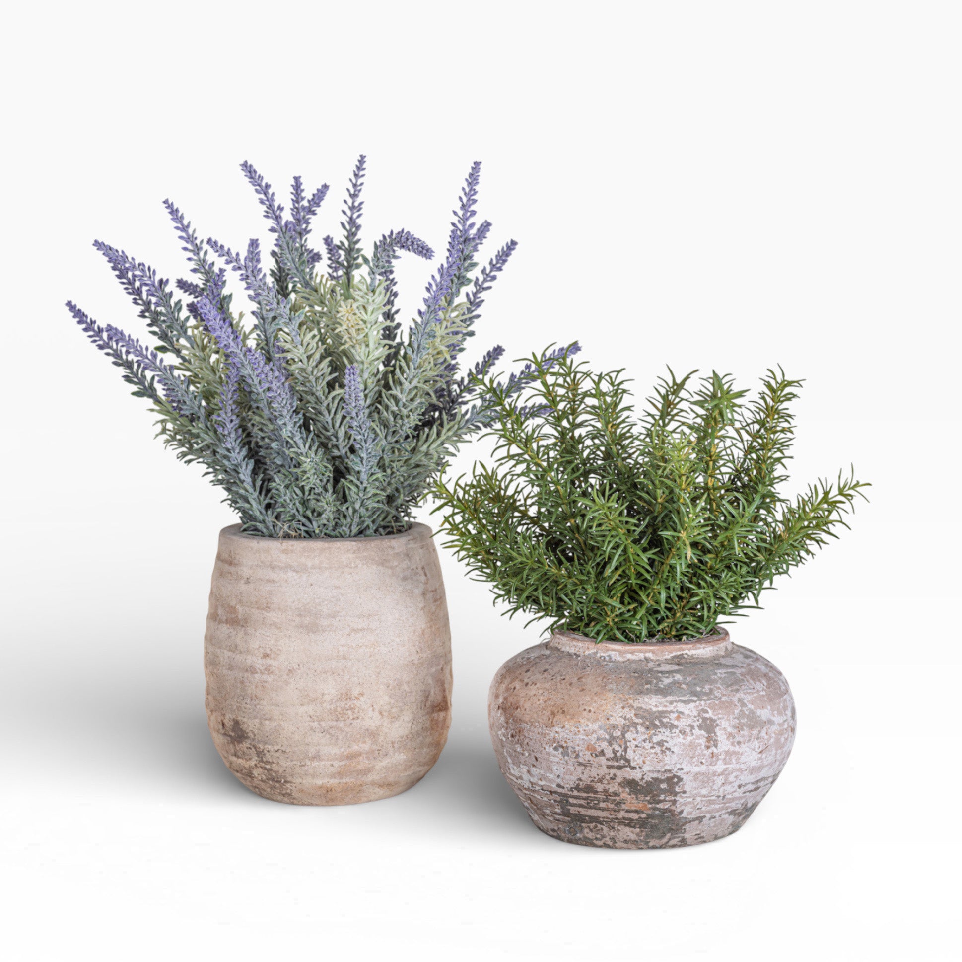 Esther Pot with Rosemary Arrangement AR1468