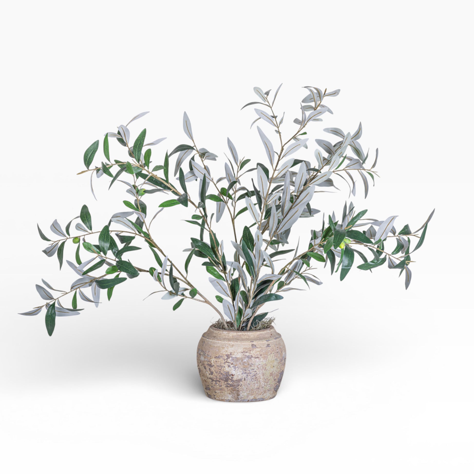 Nyx Pot with Olive Branch Arrangement AR1891