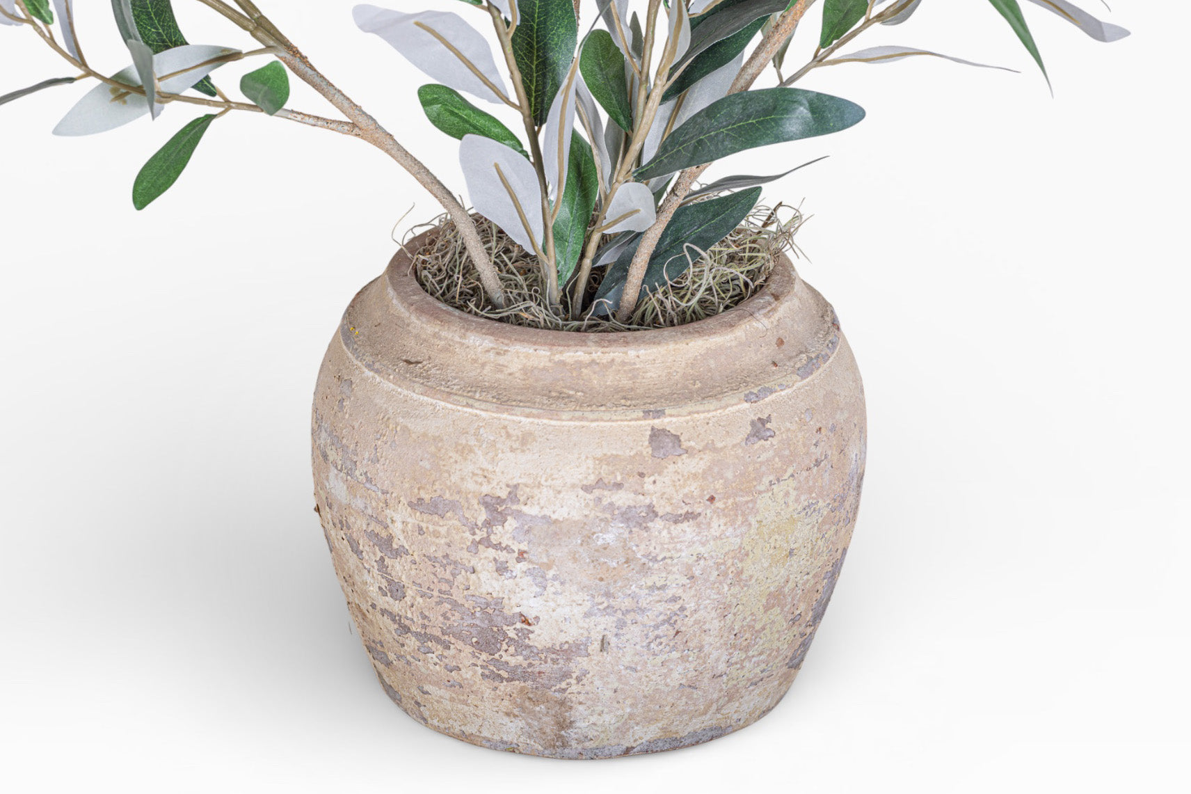 Nyx Pot with Olive Branch Arrangement AR1891