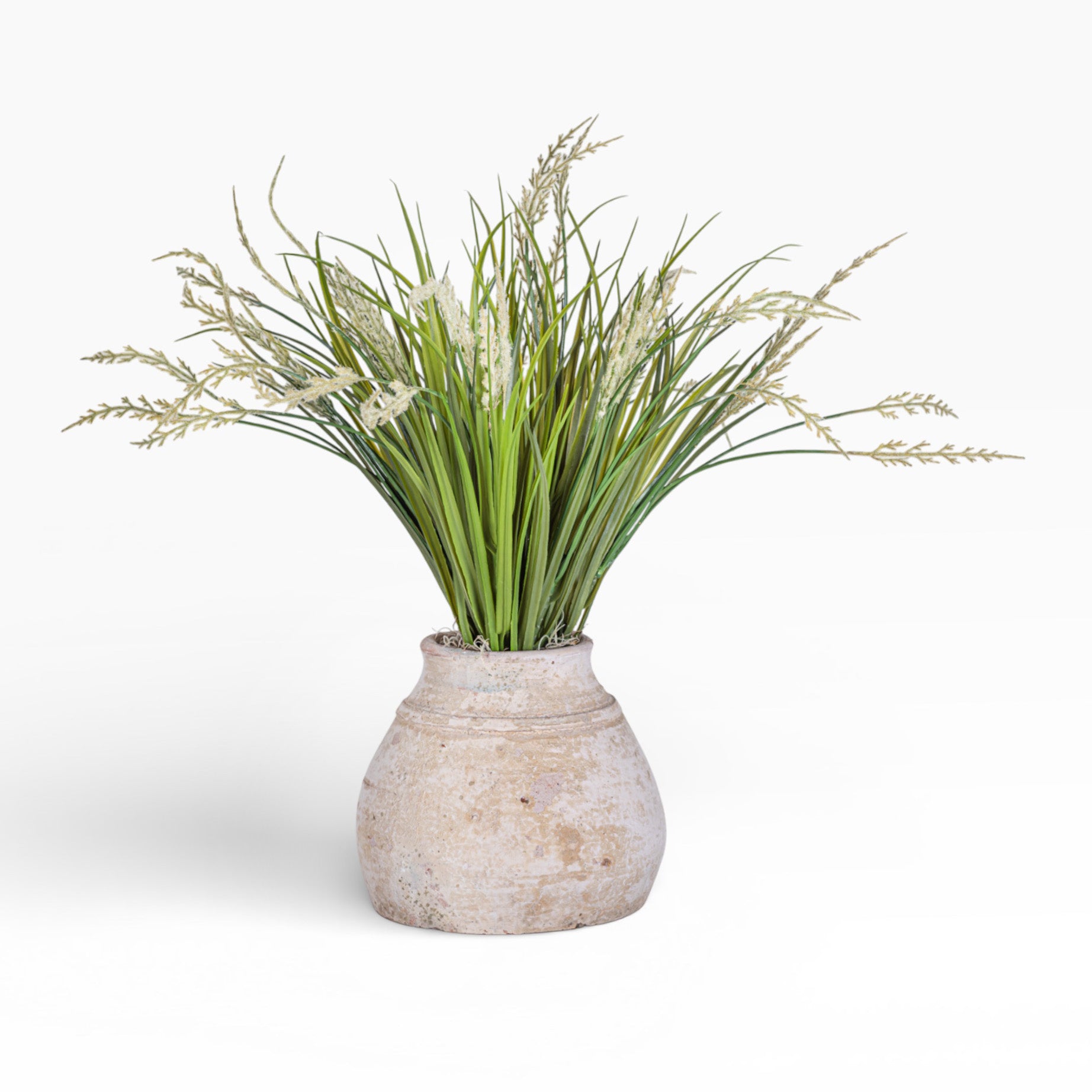 Aster Pot with Grass Arrangement AR1464
