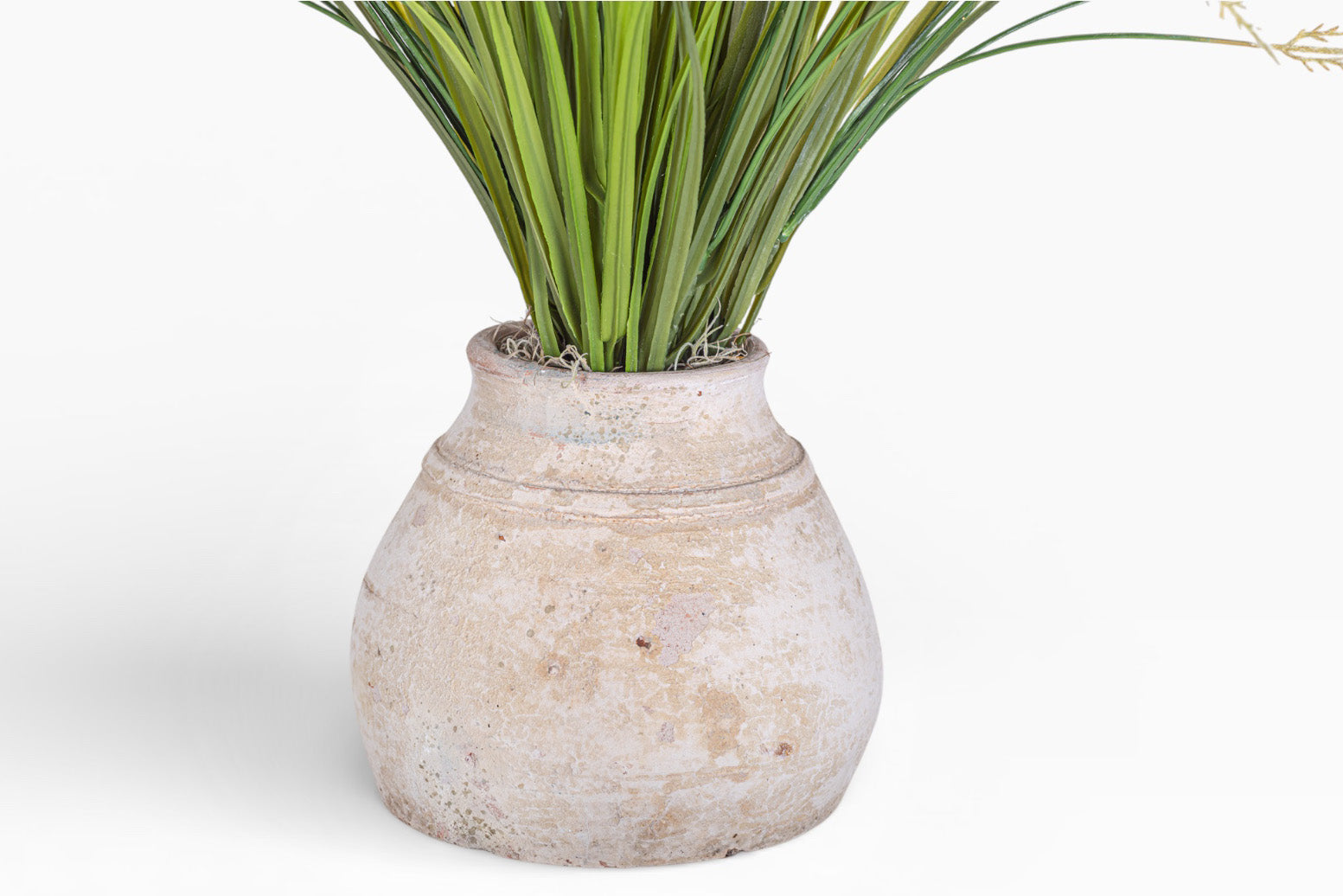 Aster Pot with Grass Arrangement AR1464