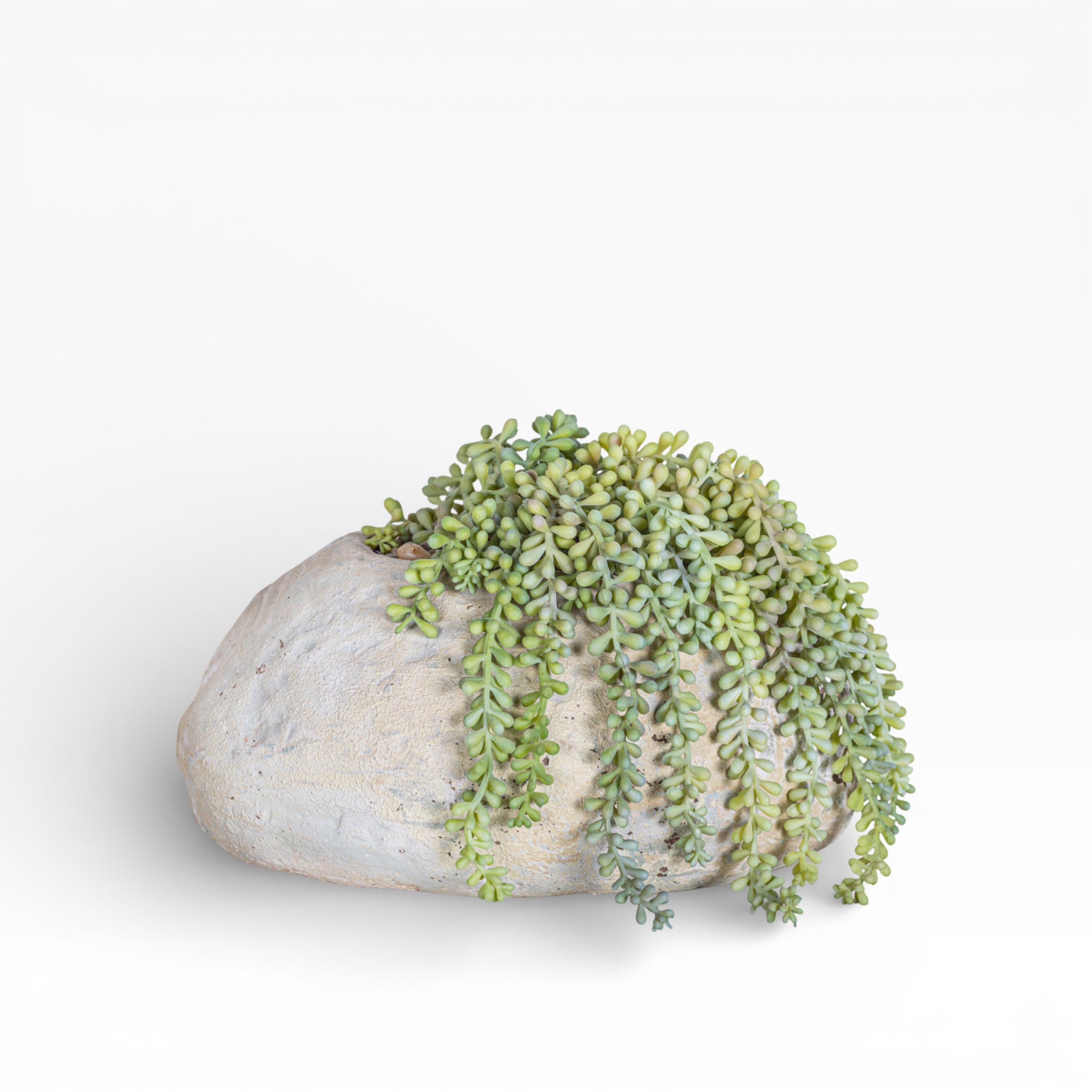11" Skye Pot with Sedum Arrangement AR1457