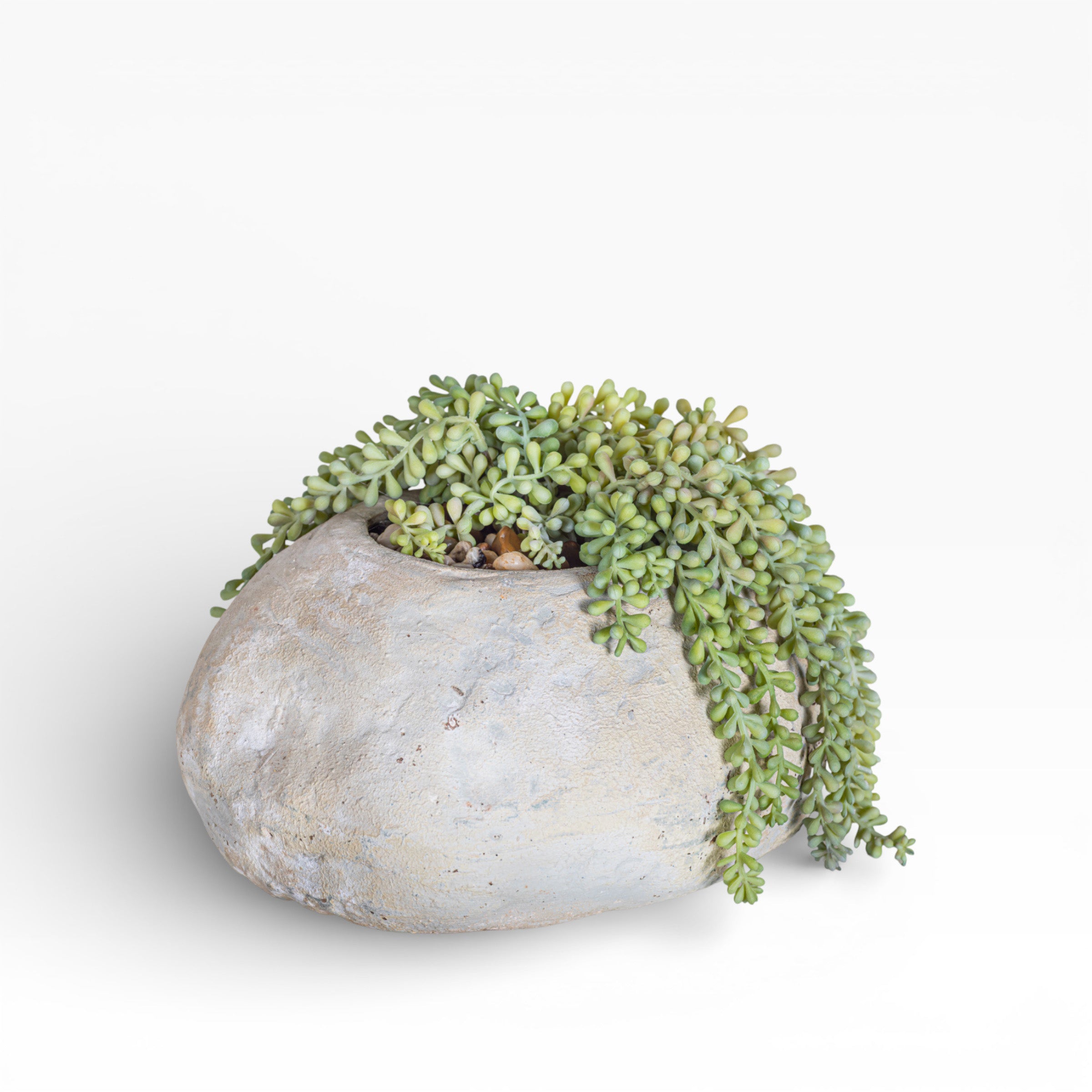 11" Skye Pot with Sedum Arrangement AR1457
