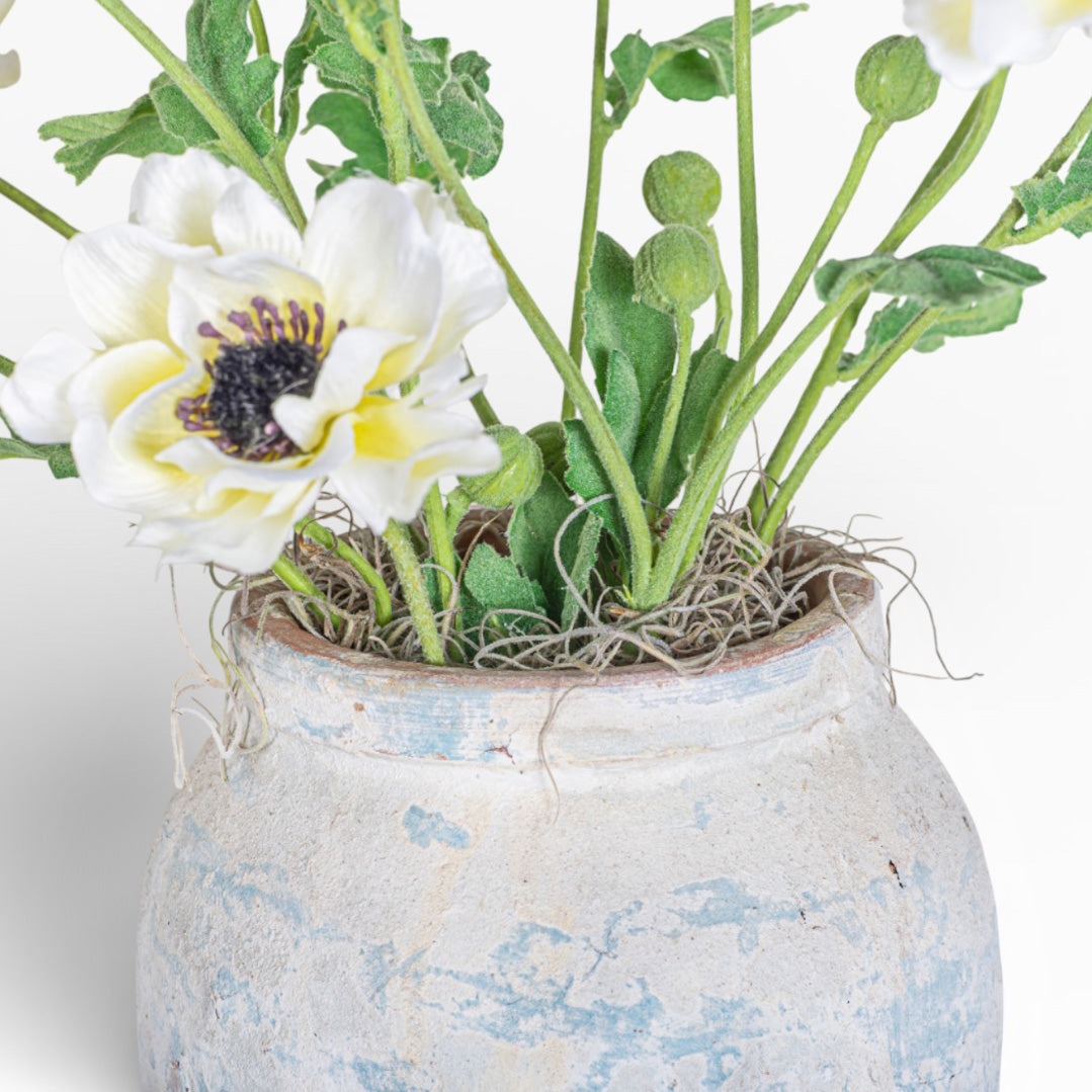 Lyric Pot with Anemone Floral Arrangment AR1451