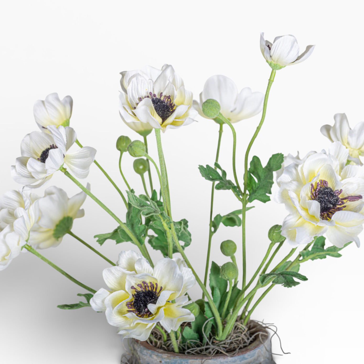 Lyric Pot with Anemone Floral Arrangment AR1451