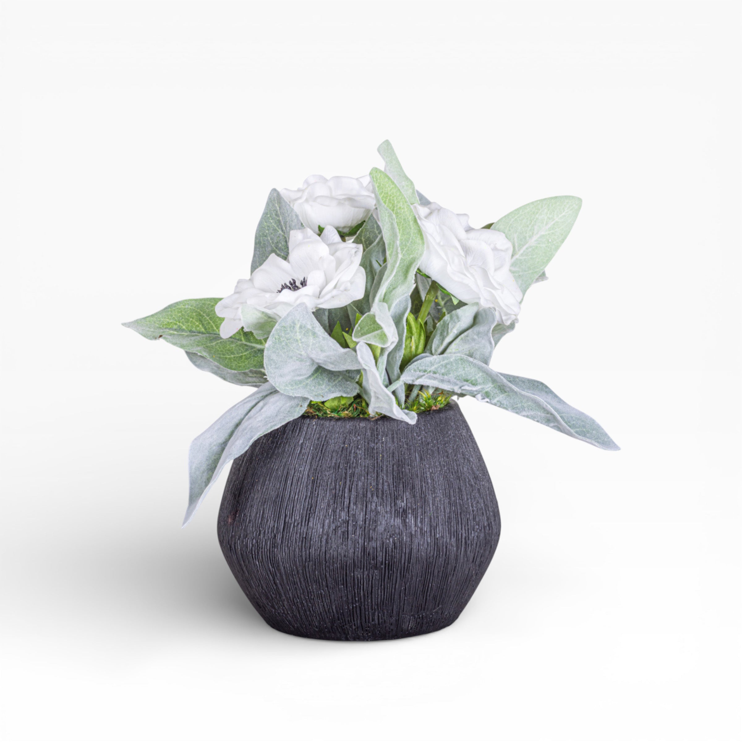 6" Ava Pot with Anemone Floral Arrangement AR1448