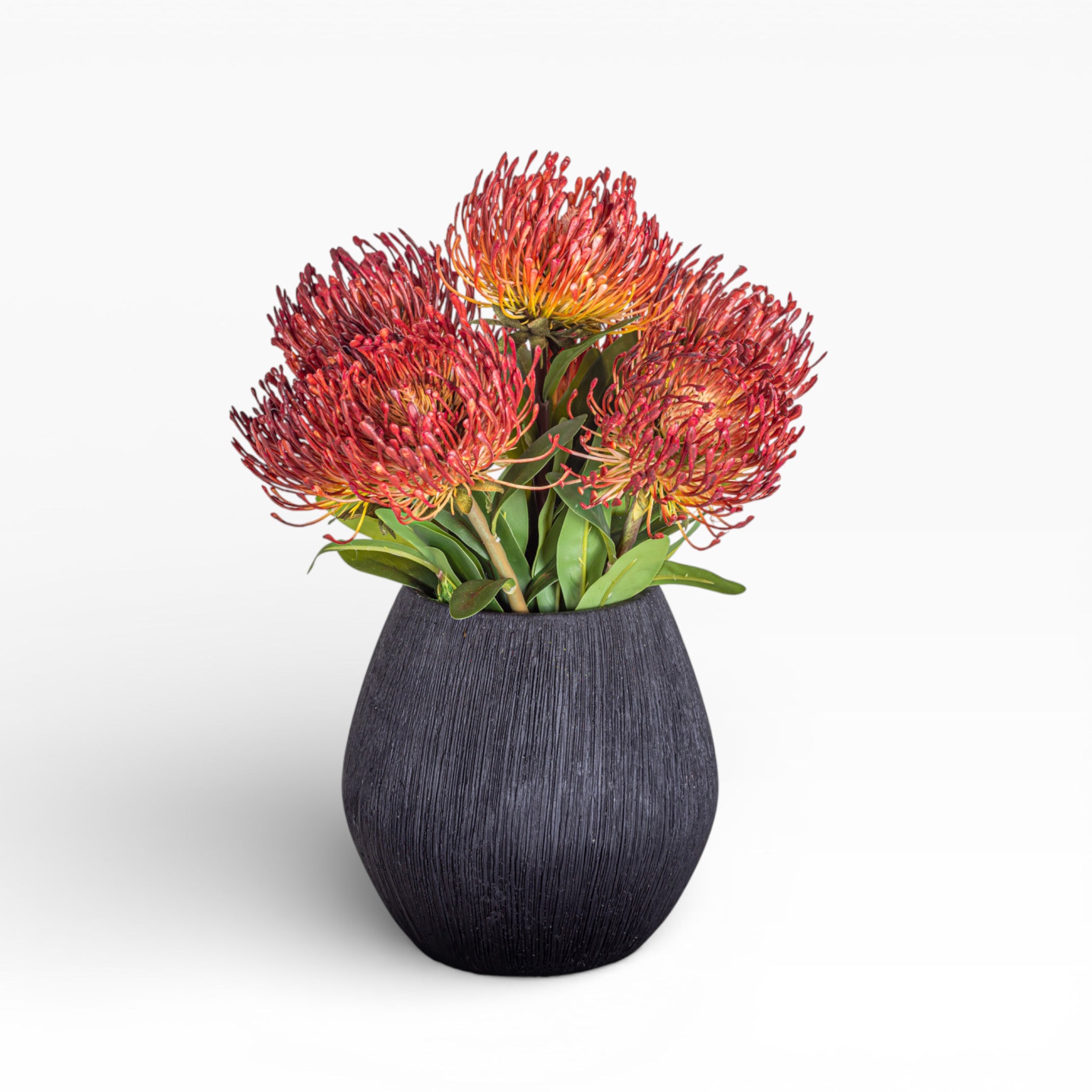 7.5" Ava Pot with Protea Arrangement AR1437