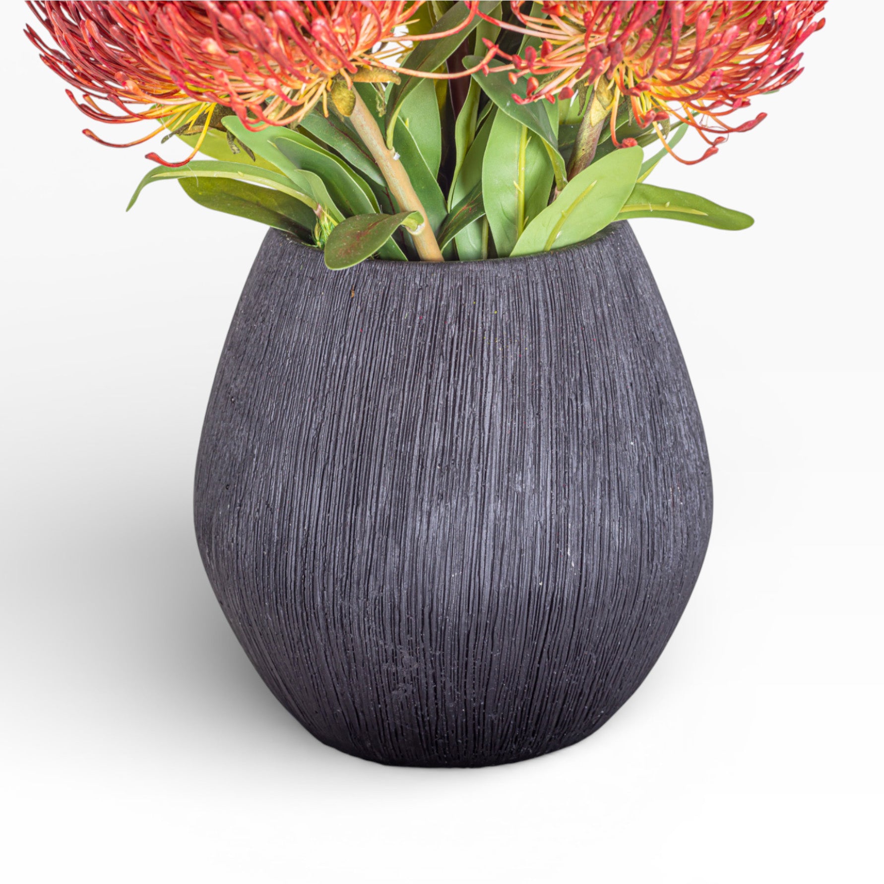 7.5" Ava Pot with Protea Arrangement AR1437