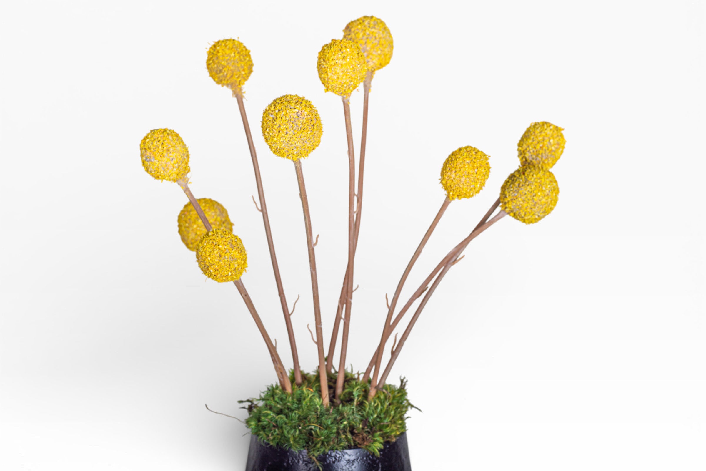 8" Aubrey Vase with Billy Button Arrangement AR1433