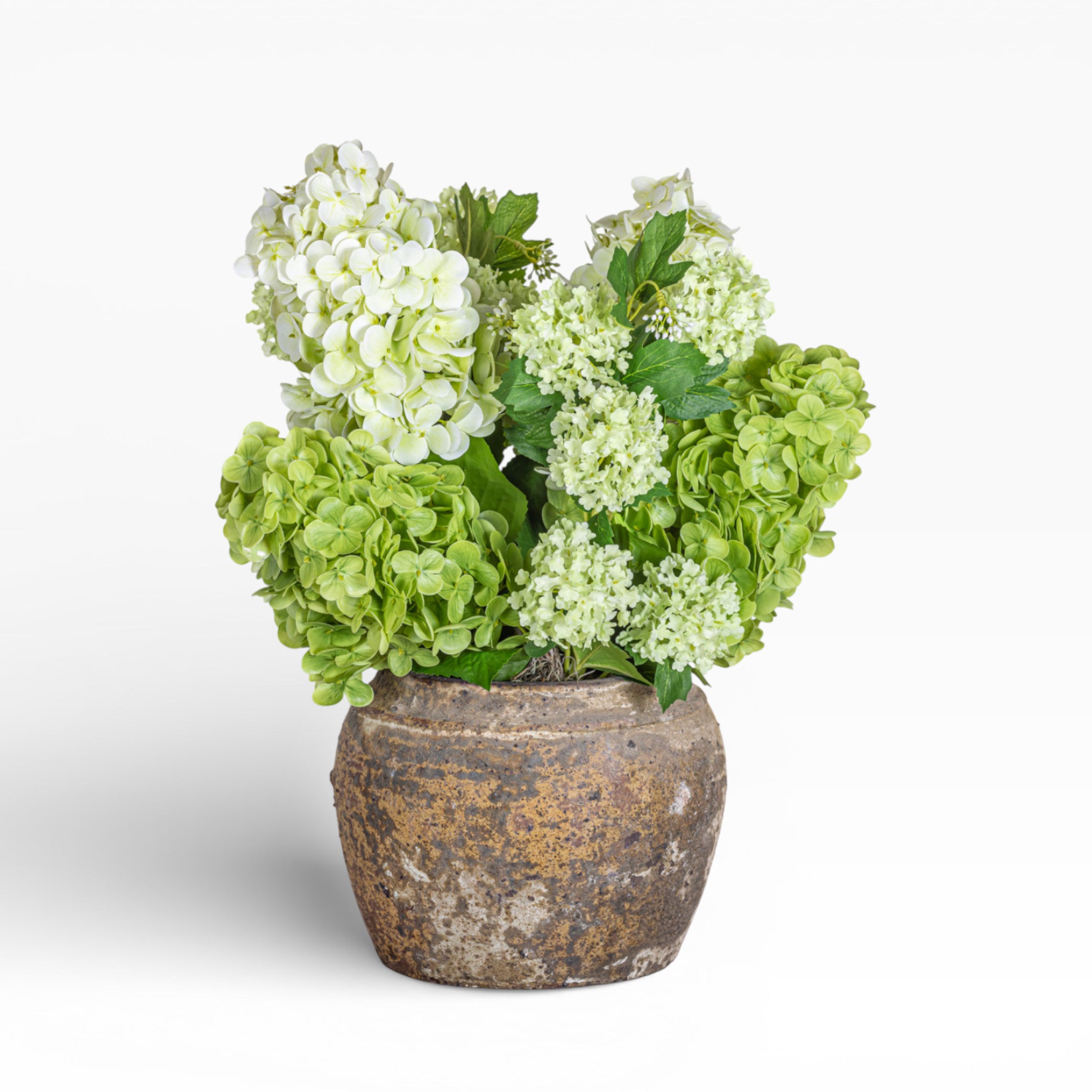 Nyx Pot with Hydrangea Arrangement AR1425