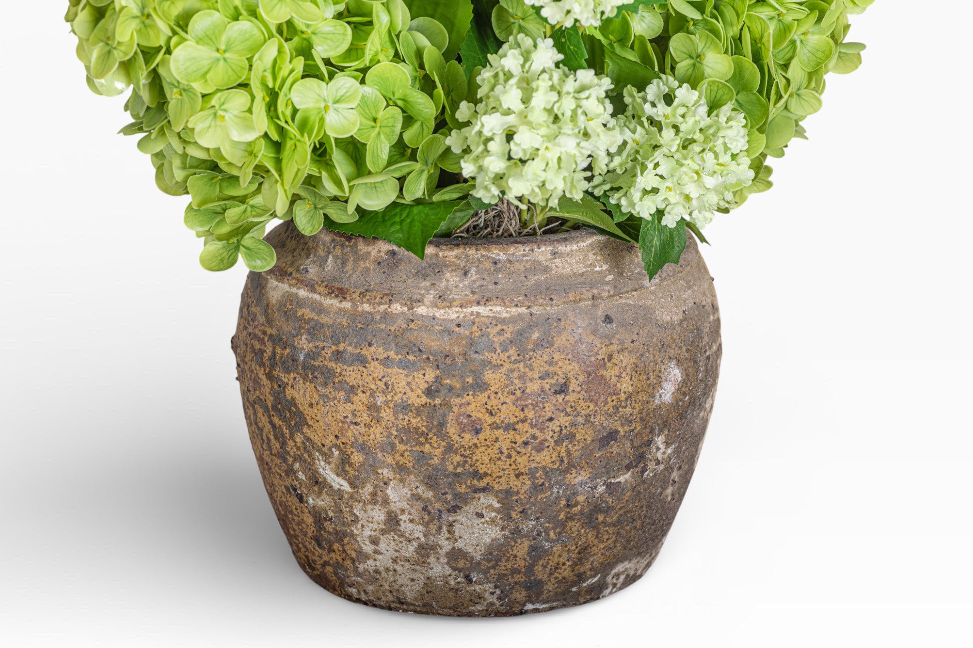 Nyx Pot with Hydrangea Arrangement AR1425