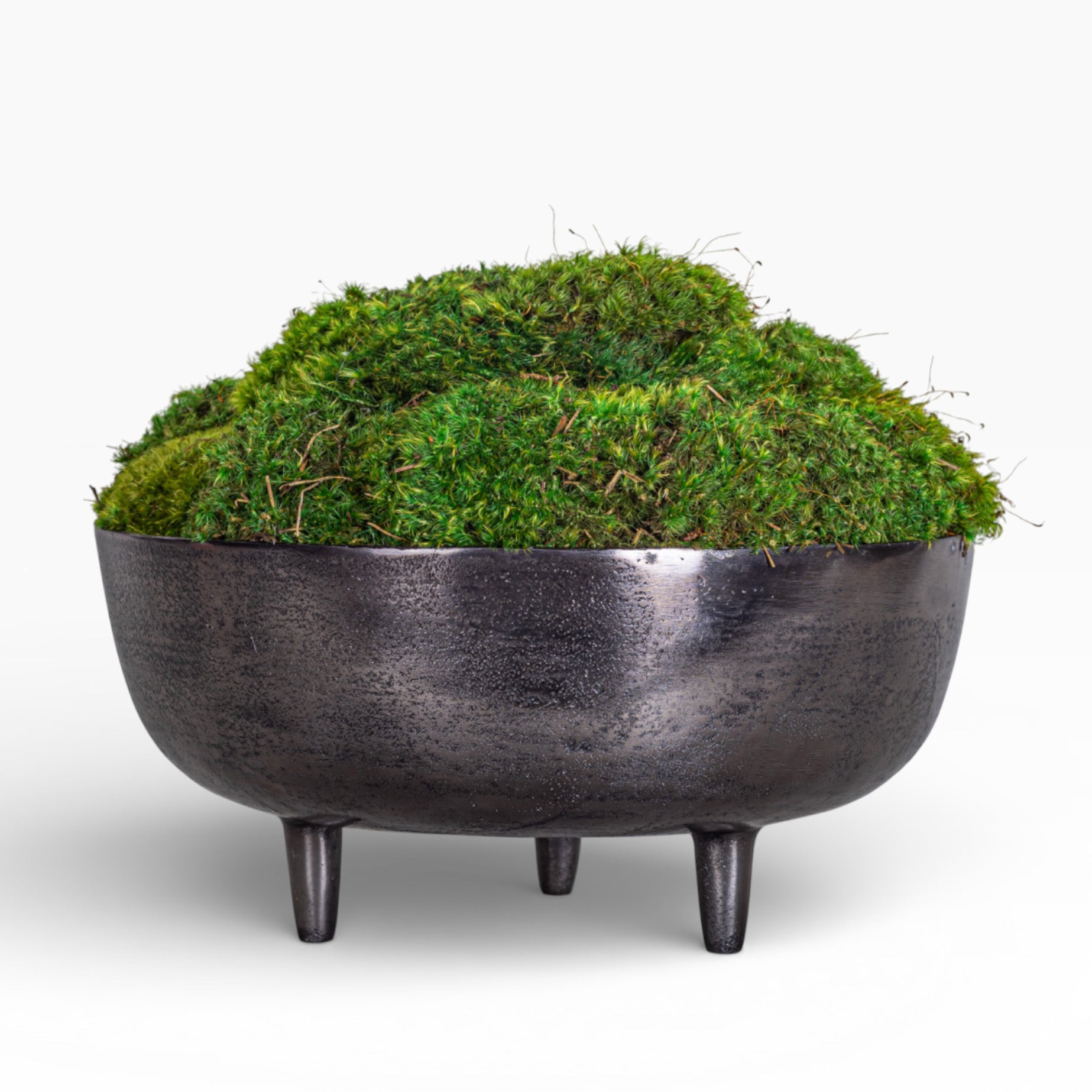 13" Ryder Bowl with Mood Moss Arrangement AR1424