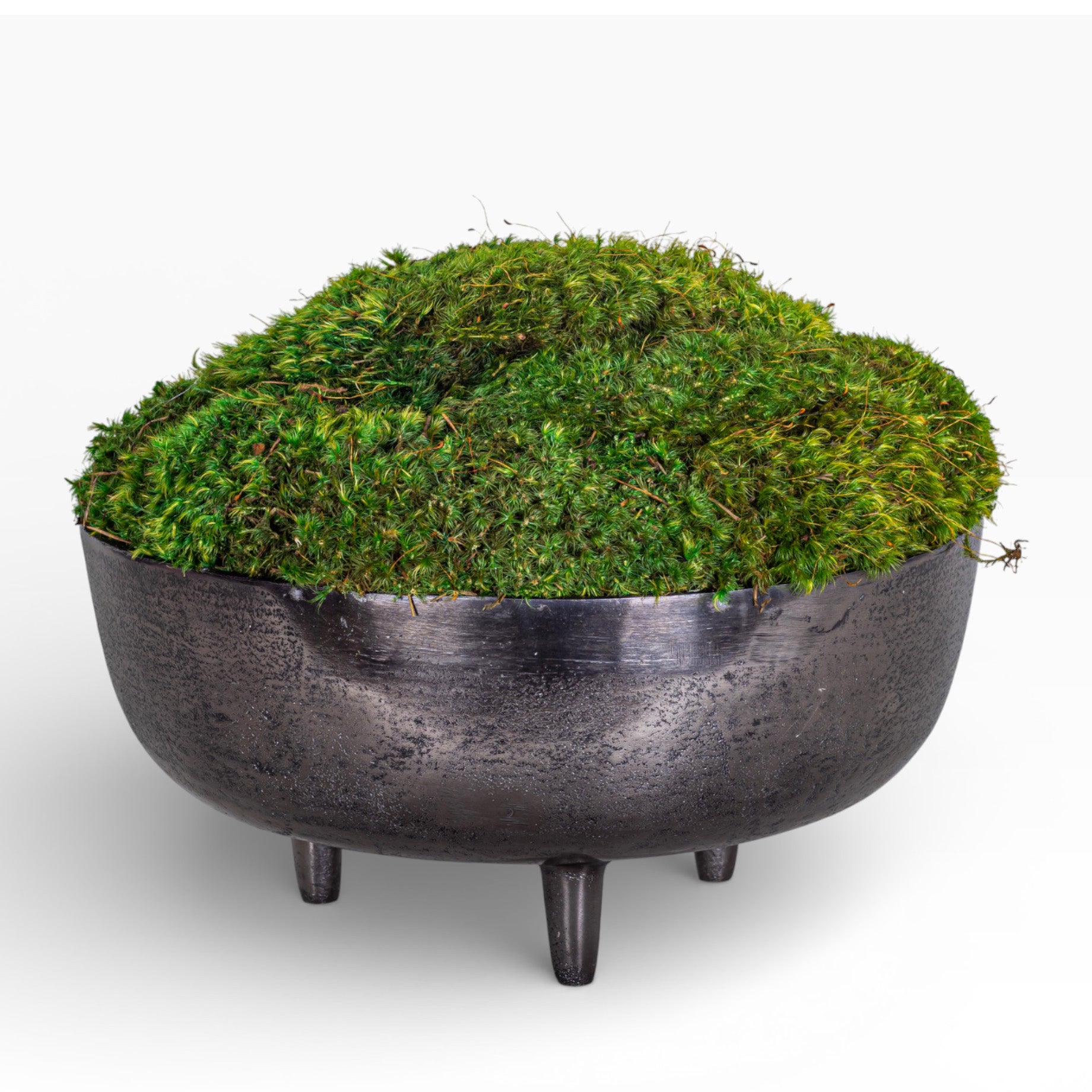 13" Ryder Bowl with Mood Moss Arrangement AR1424