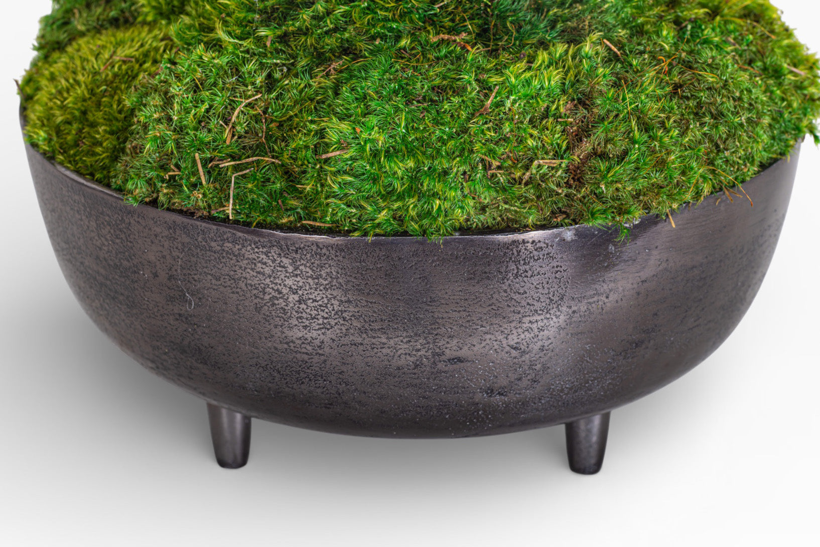 13" Ryder Bowl with Mood Moss Arrangement AR1424