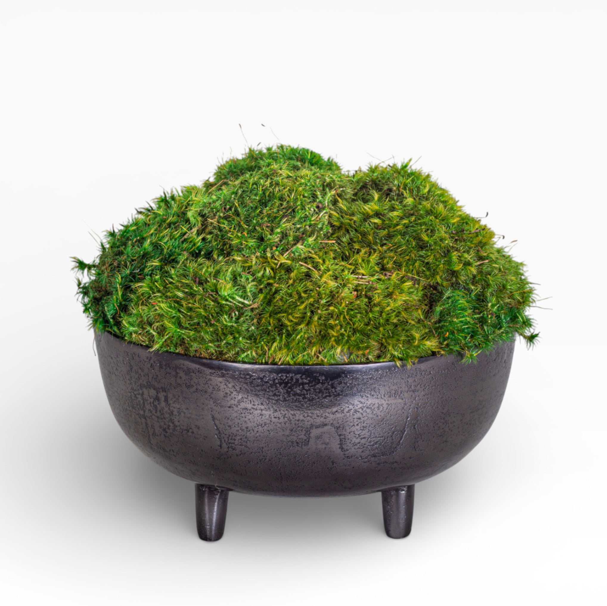 10" Ryder Bowl with Mood Moss Arrangement AR1423
