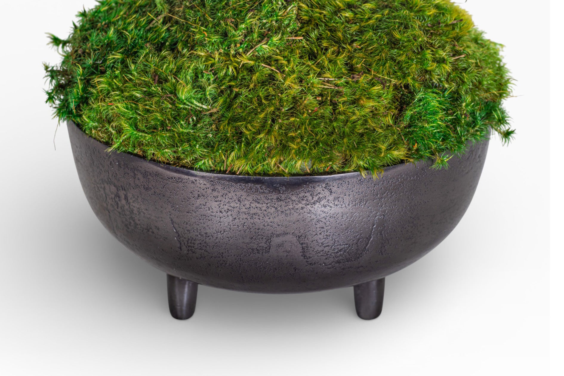 10" Ryder Bowl with Mood Moss Arrangement AR1423
