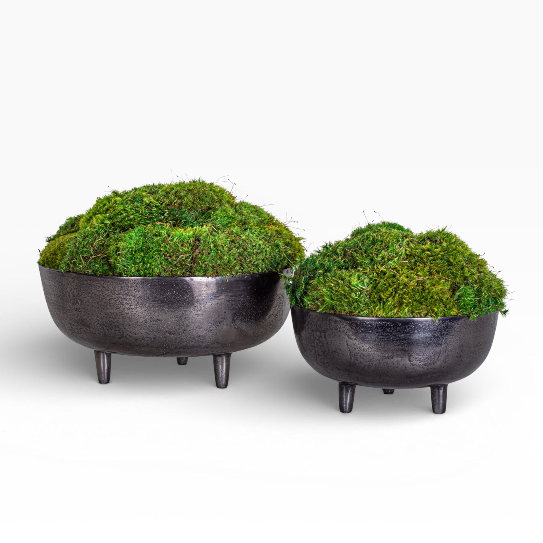 10" Ryder Bowl with Mood Moss Arrangement AR1423