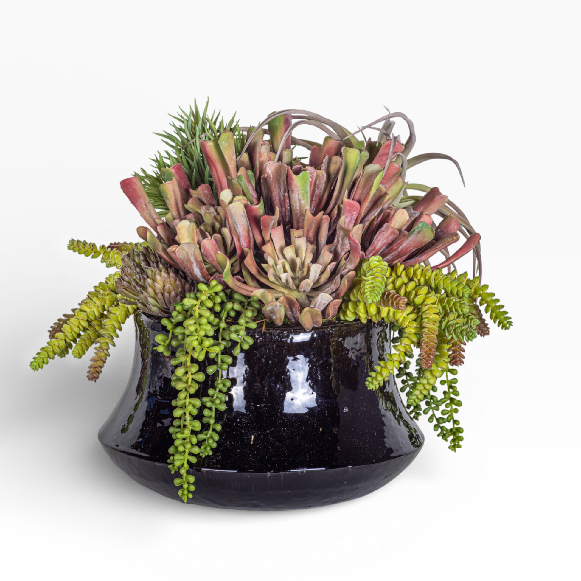 Tulip Planter with Mixed Succulent Arrangement AR1422