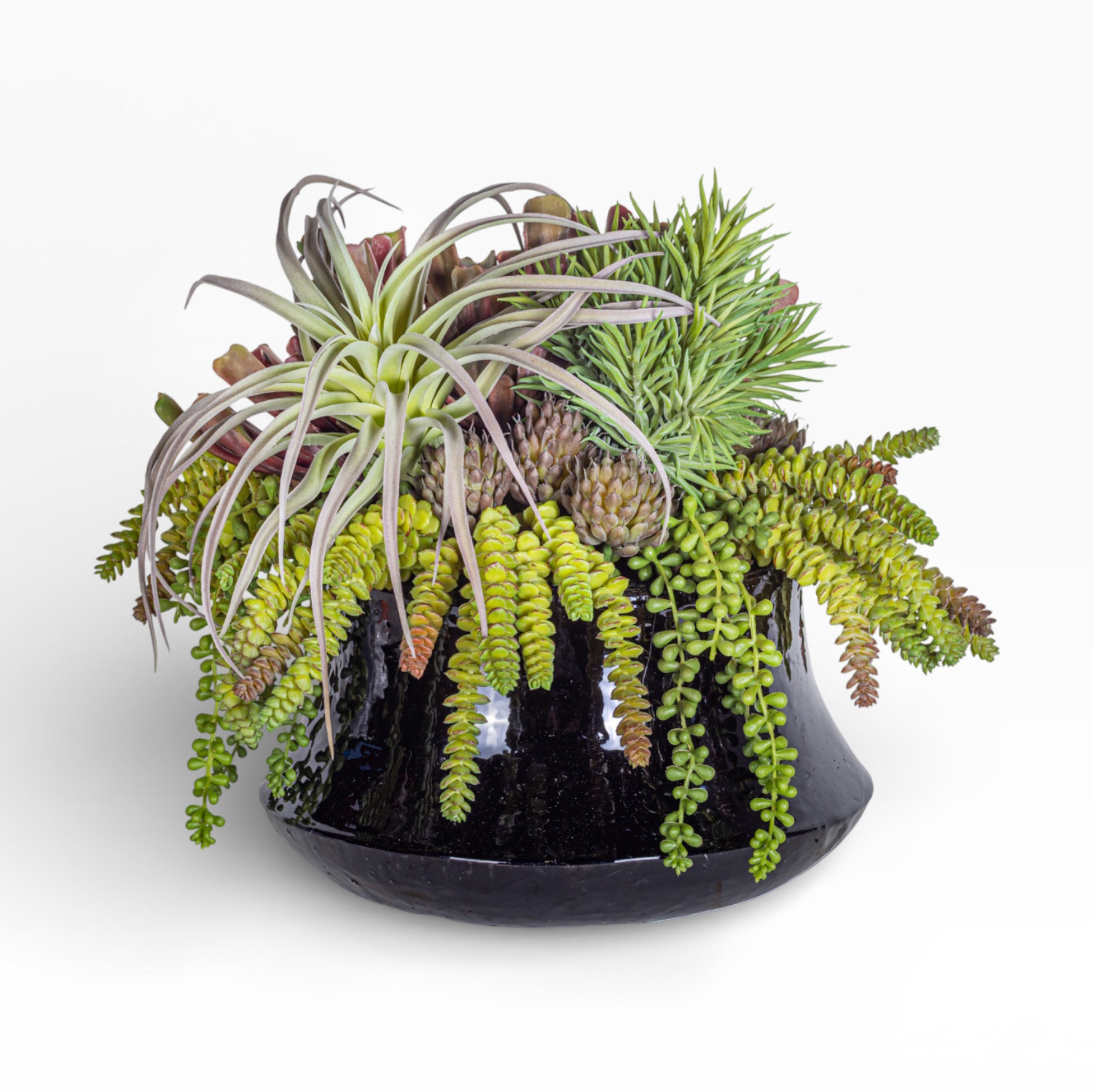 Tulip Planter with Mixed Succulent Arrangement AR1422