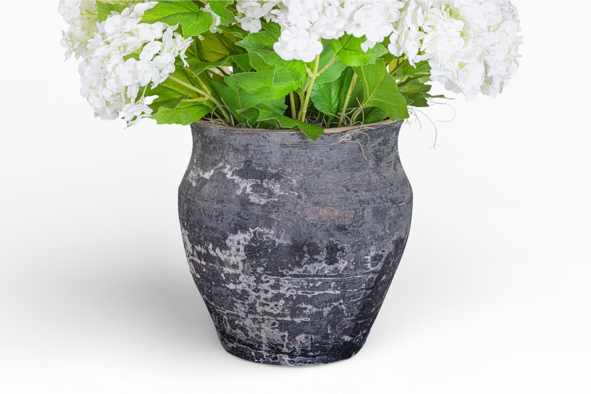 6" Titan Pot with Hydrangea Arrangement AR1421