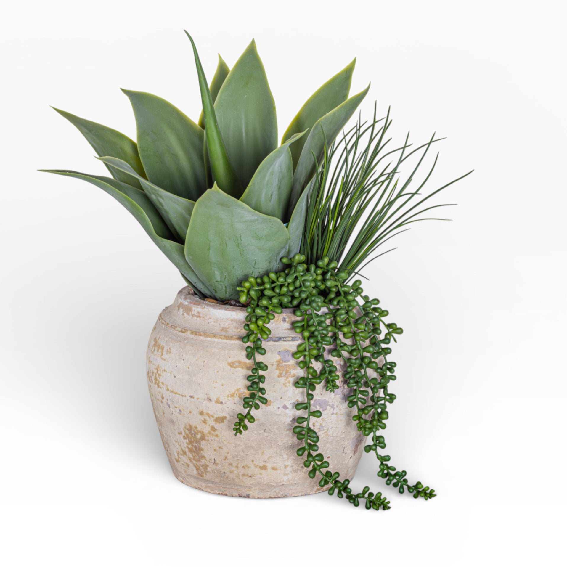 Nyx Pot with Mixed Succulent Arrangement AR1893