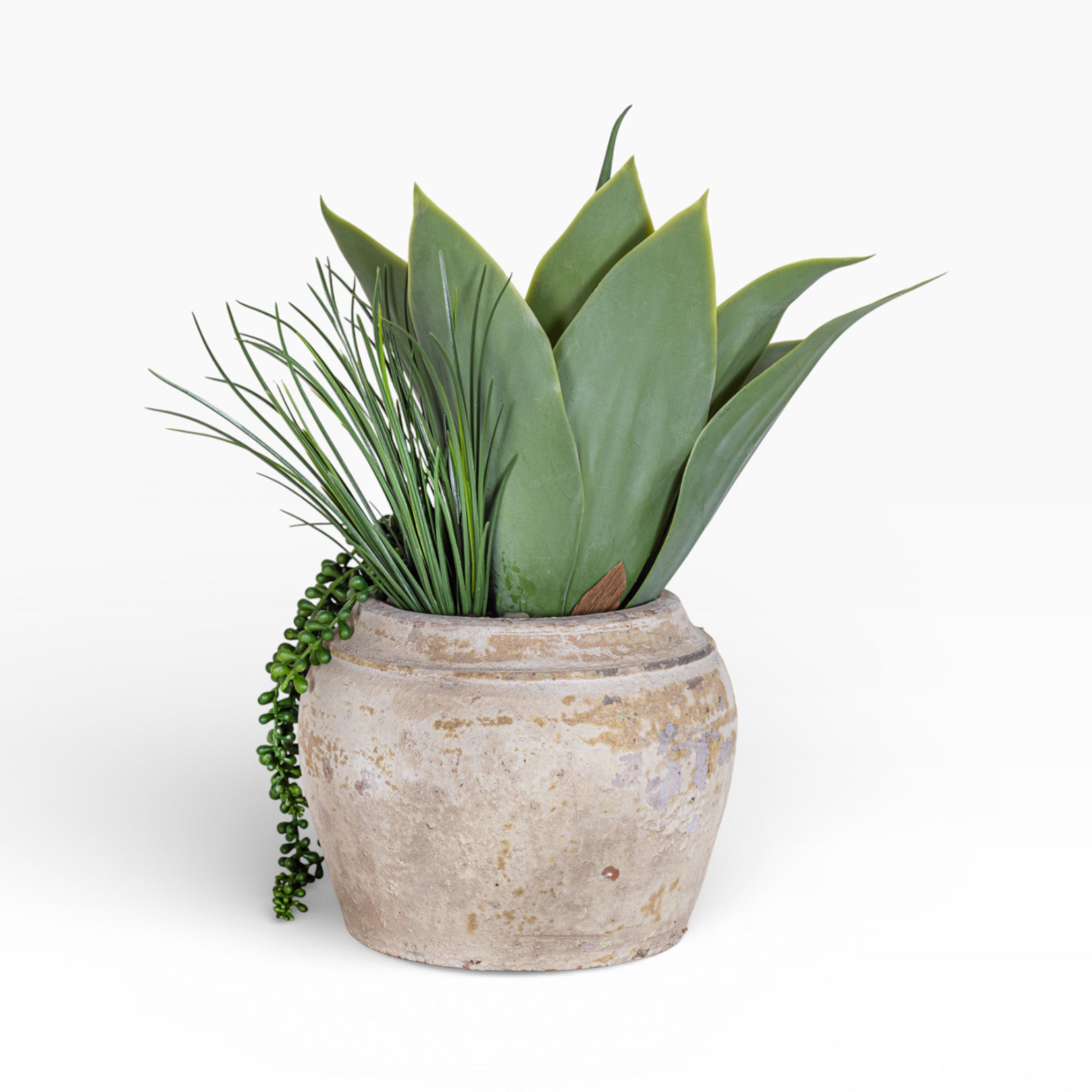 Nyx Pot with Mixed Succulent Arrangement AR1893