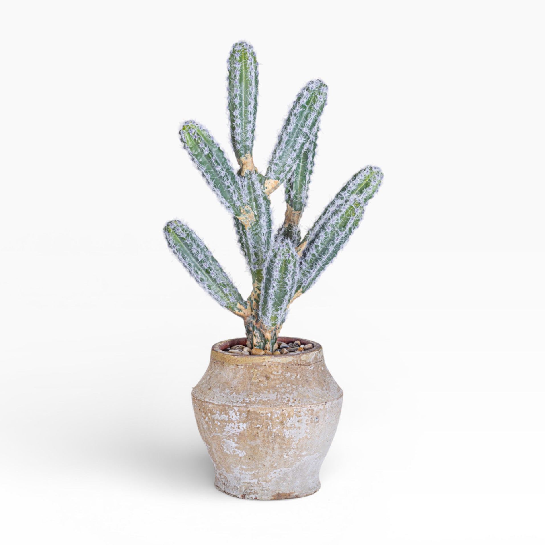 Mila Pot with Cactus Arrangement AR1894