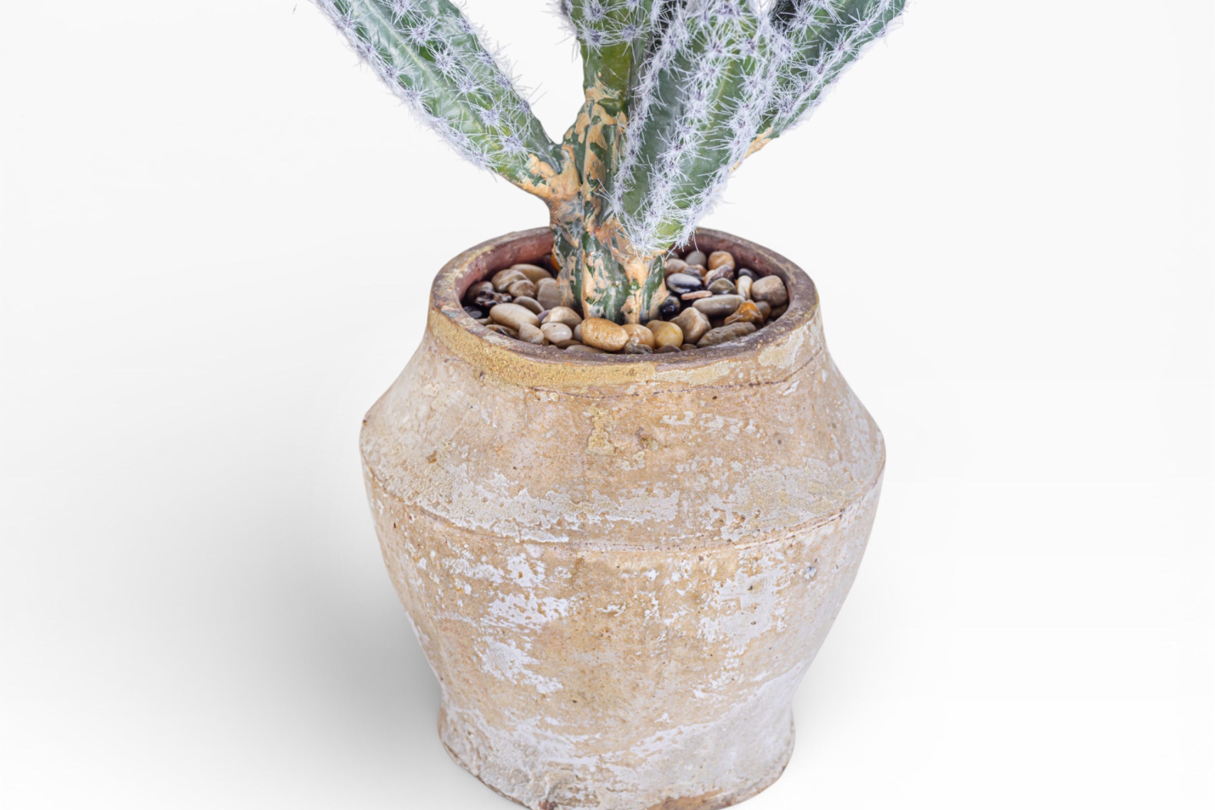 Mila Pot with Cactus Arrangement AR1894