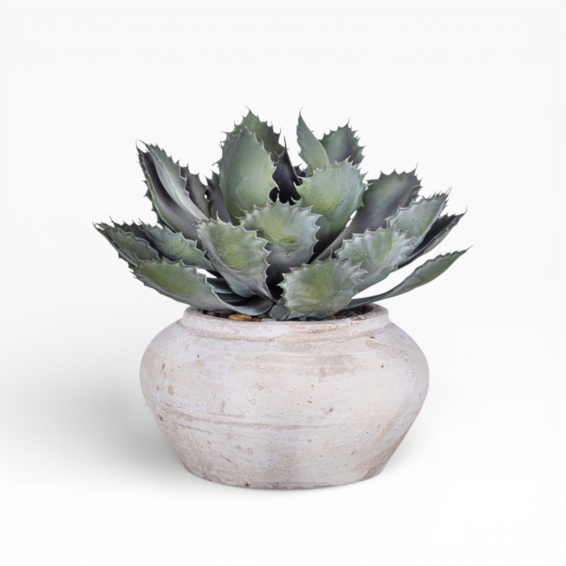 Esther Pot with Succulent Arrangement AR1407