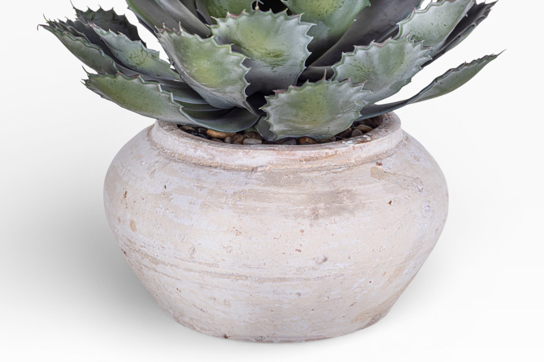 Esther Pot with Succulent Arrangement AR1407
